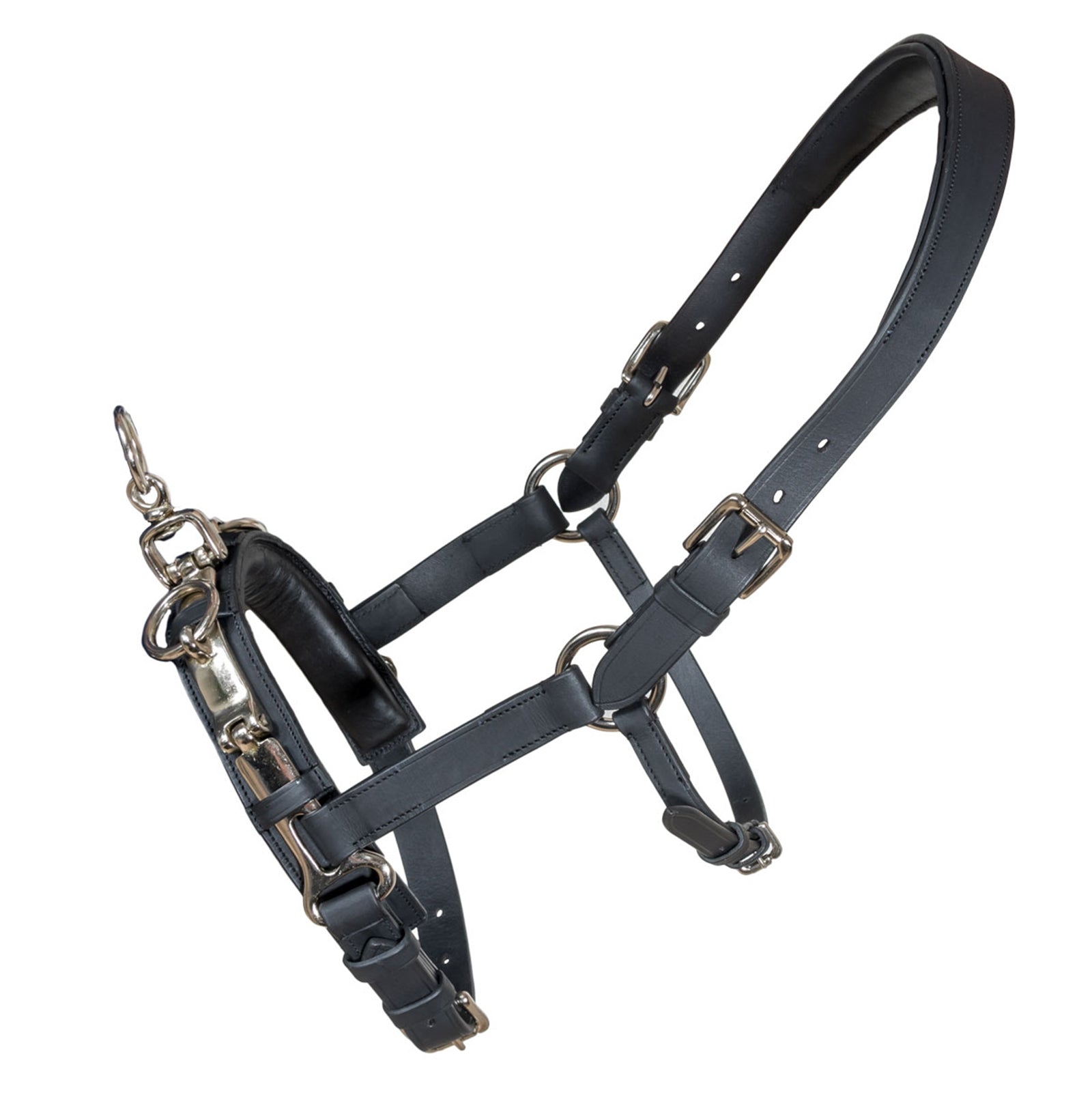 Karlslund Fengur Kapsun Entrenamiento Caballo