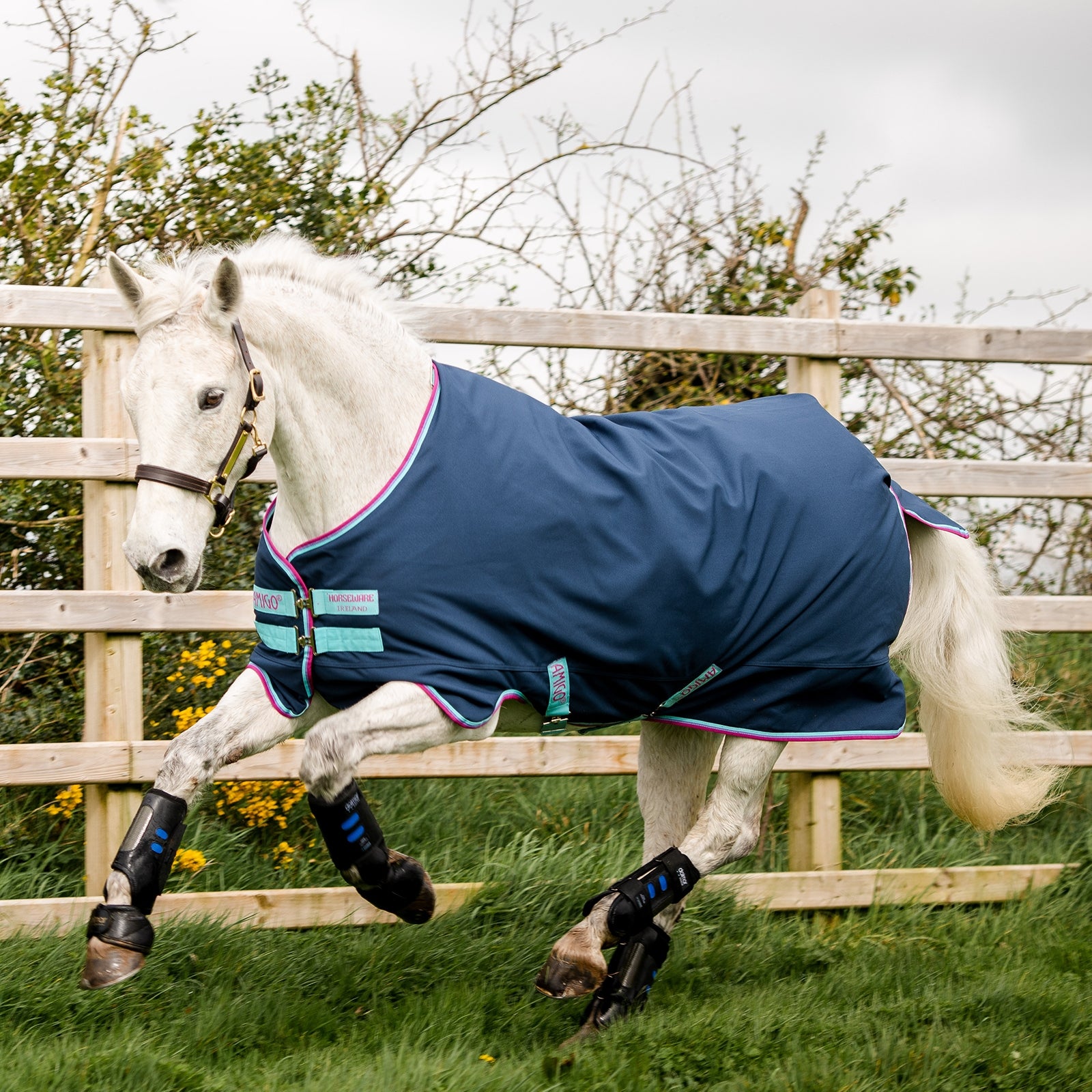 Horseware Amigo Hero 900 Pony Desvío, 0g Mantas Caballo