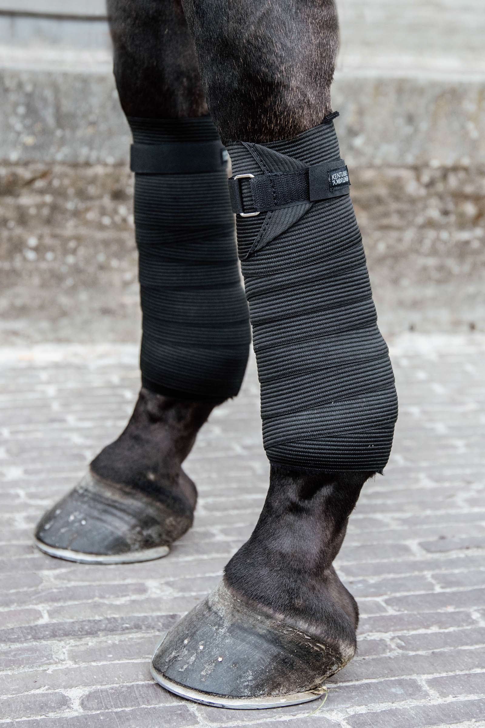 Kentucky Horsewear Polar y vendaje elástico Leg Protection & Hoof Protection for Horses