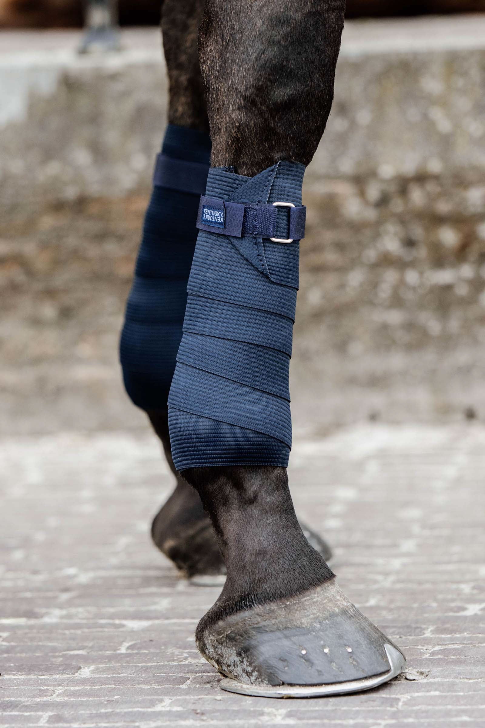 Kentucky Horsewear Polar y vendaje elástico Leg Protection & Hoof Protection for Horses