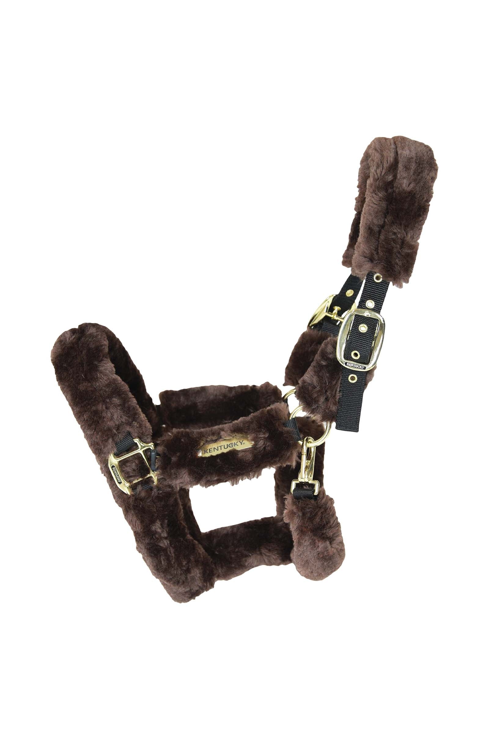 Kentucky Horsewear Cabezada cuadra con piel de oveja para transportar Cabezadas de cuadra & Ramales