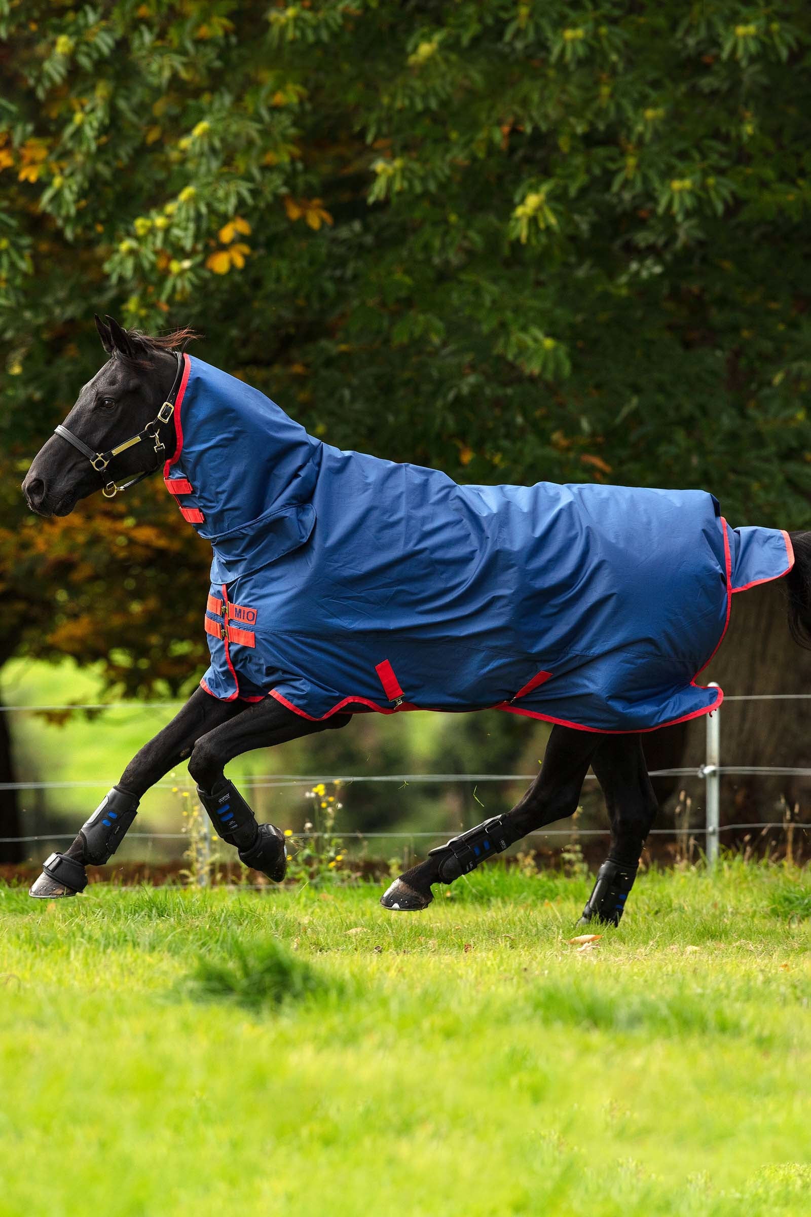Horseware Manta de Exterior de una Pieza con Cubre Cuello Fijo Mio, 350g Mantas Caballo