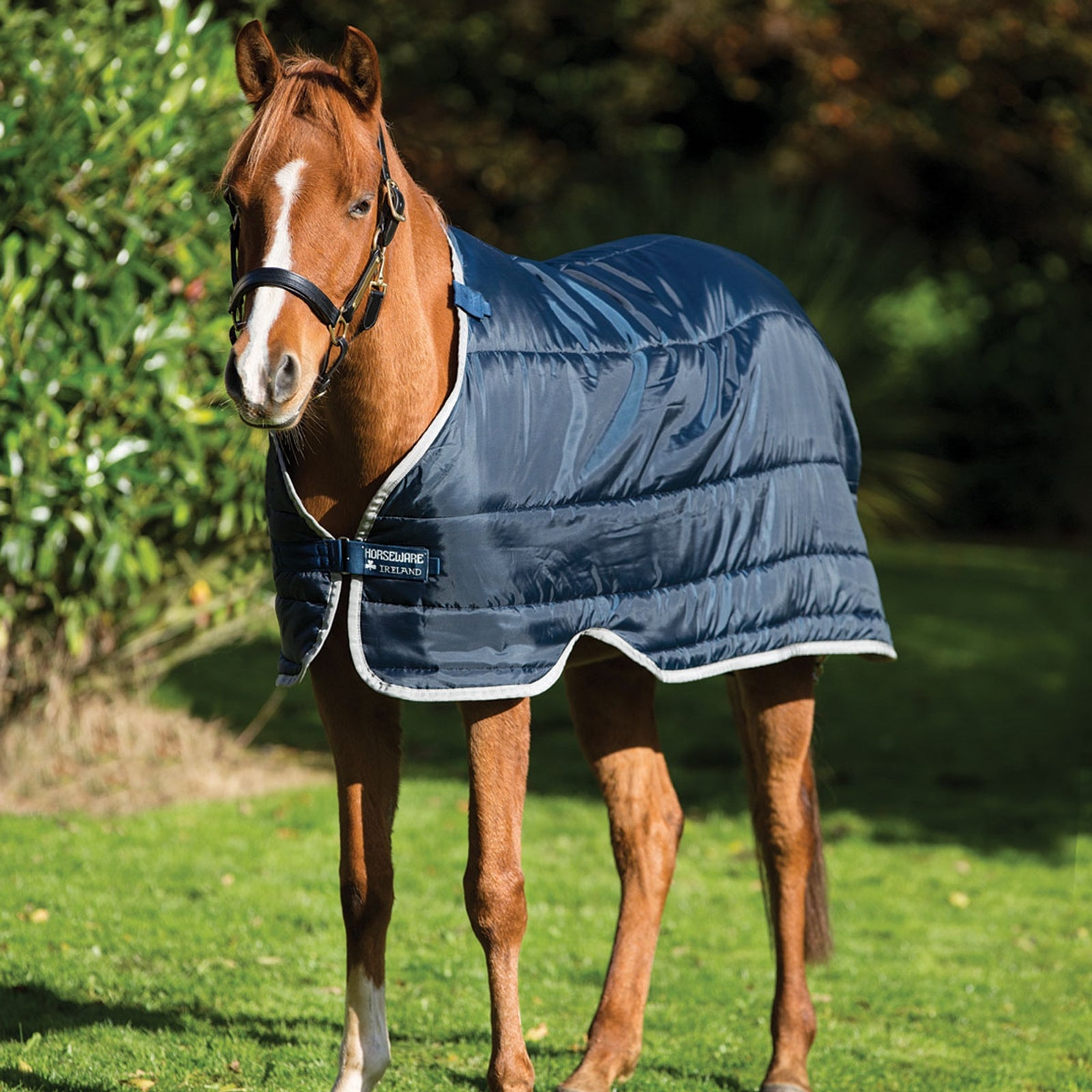 Horseware Pony Bajo Alfombra, 200g Mantas Caballo