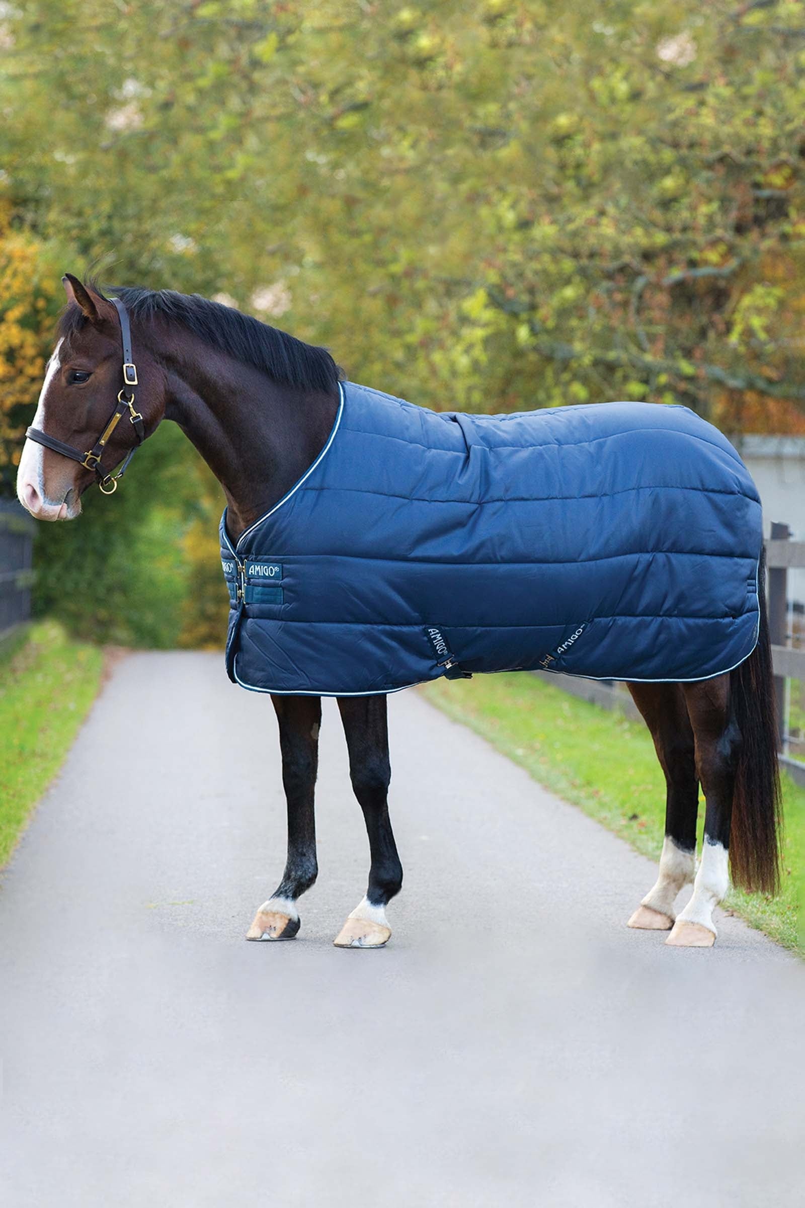 Horseware Amigo Insulator manta de cuadra, 100g Mantas Caballo