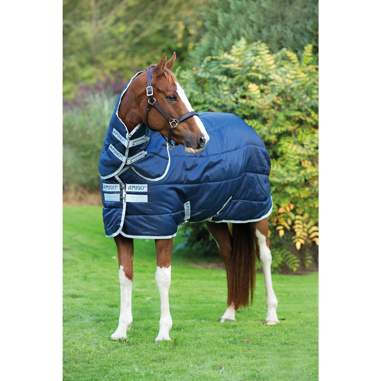 Horseware Amigo Insulator Plus Manta de Cuadra con cubre cuello desmontable, 200g Mantas Caballo