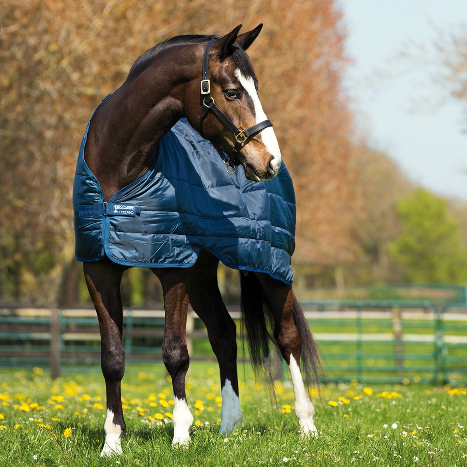 Horseware Liner 300g Horse Rugs