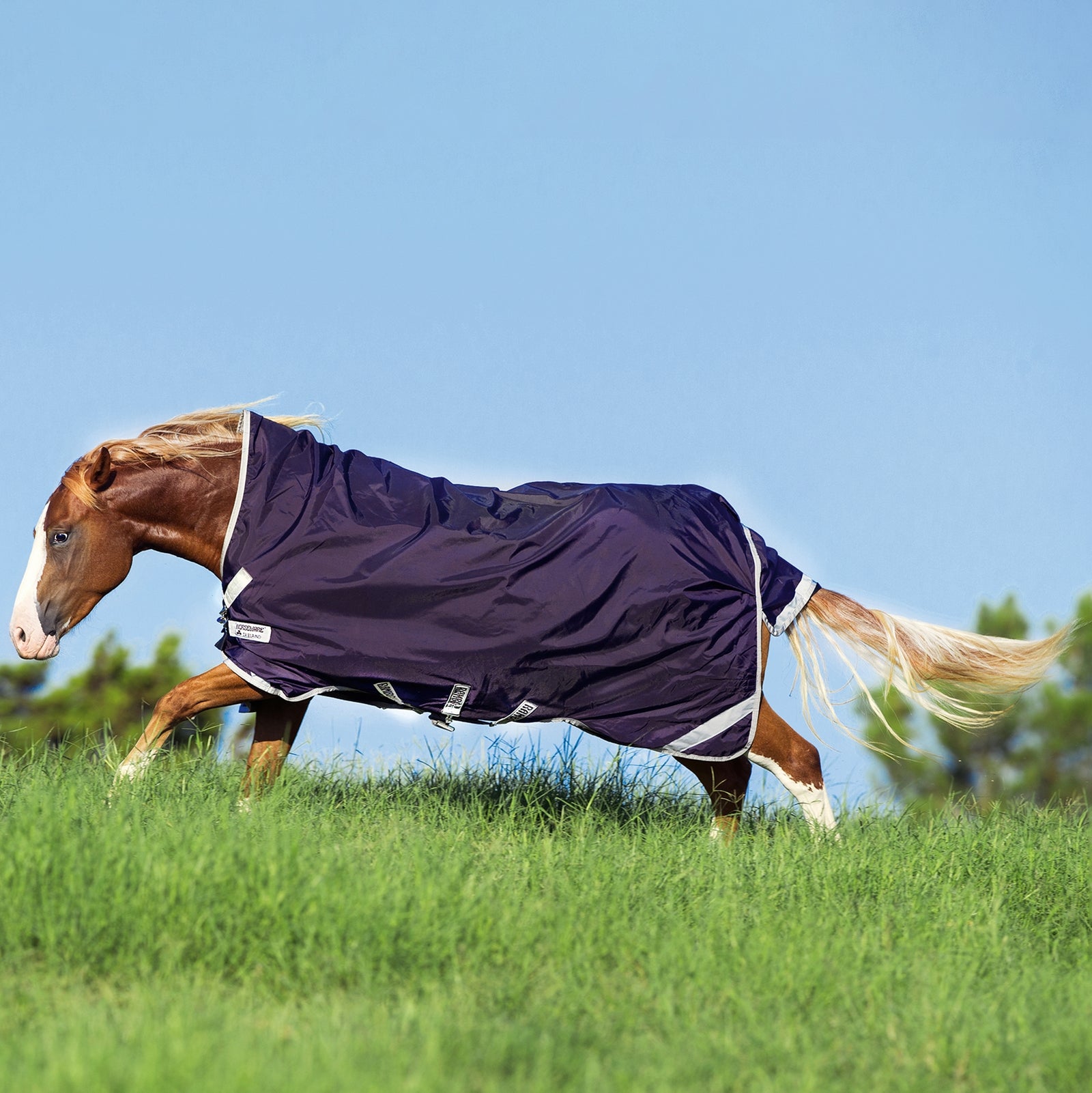 Horseware Rambo Wug Turnout Rug with High Neck, 0g Horse Rugs