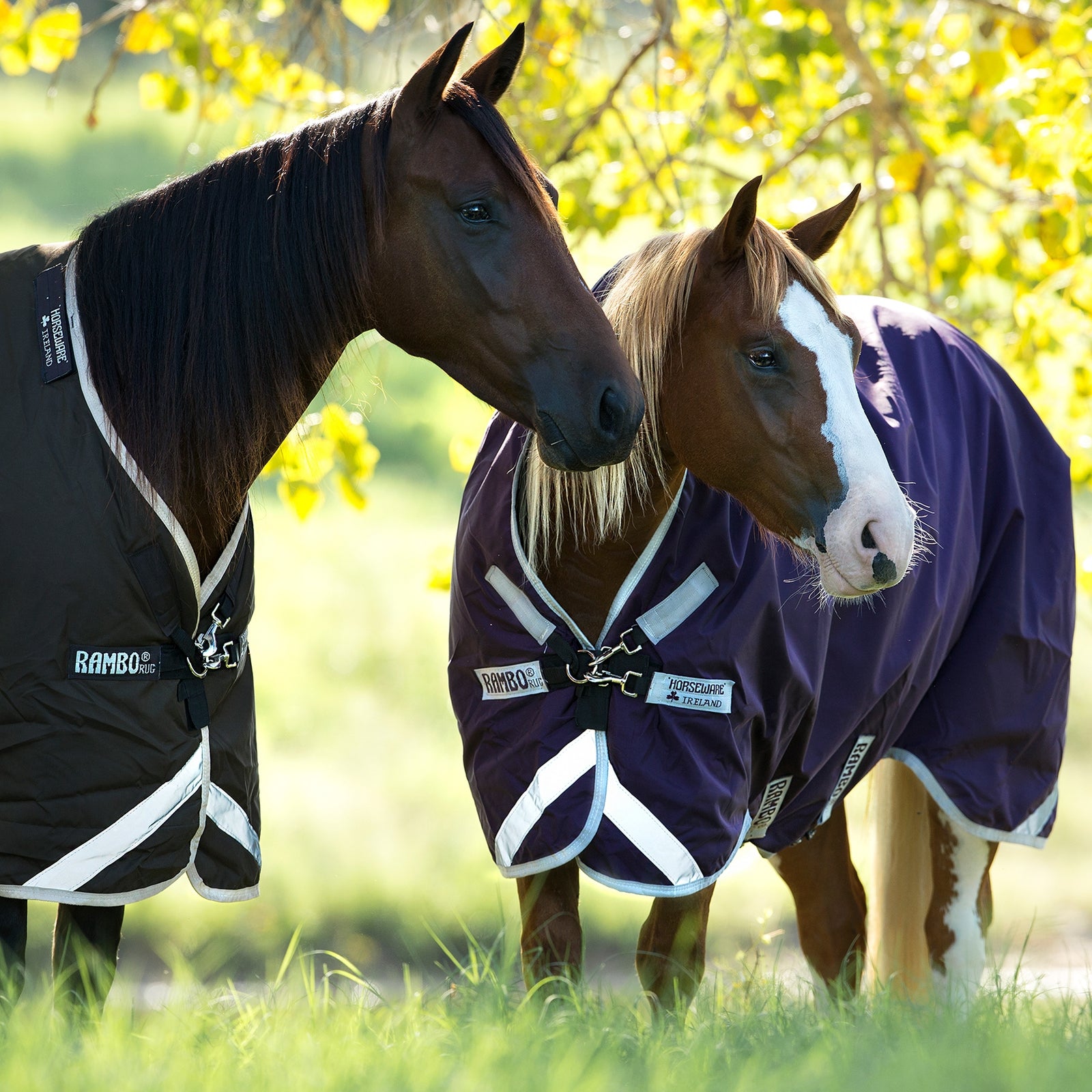 Horseware Rambo Wug Turnout Rug with High Neck, 0g Horse Rugs