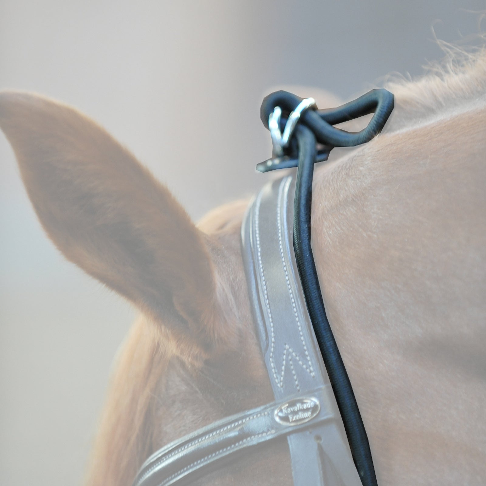 Kavalkade Bungie, elastic Horse Training