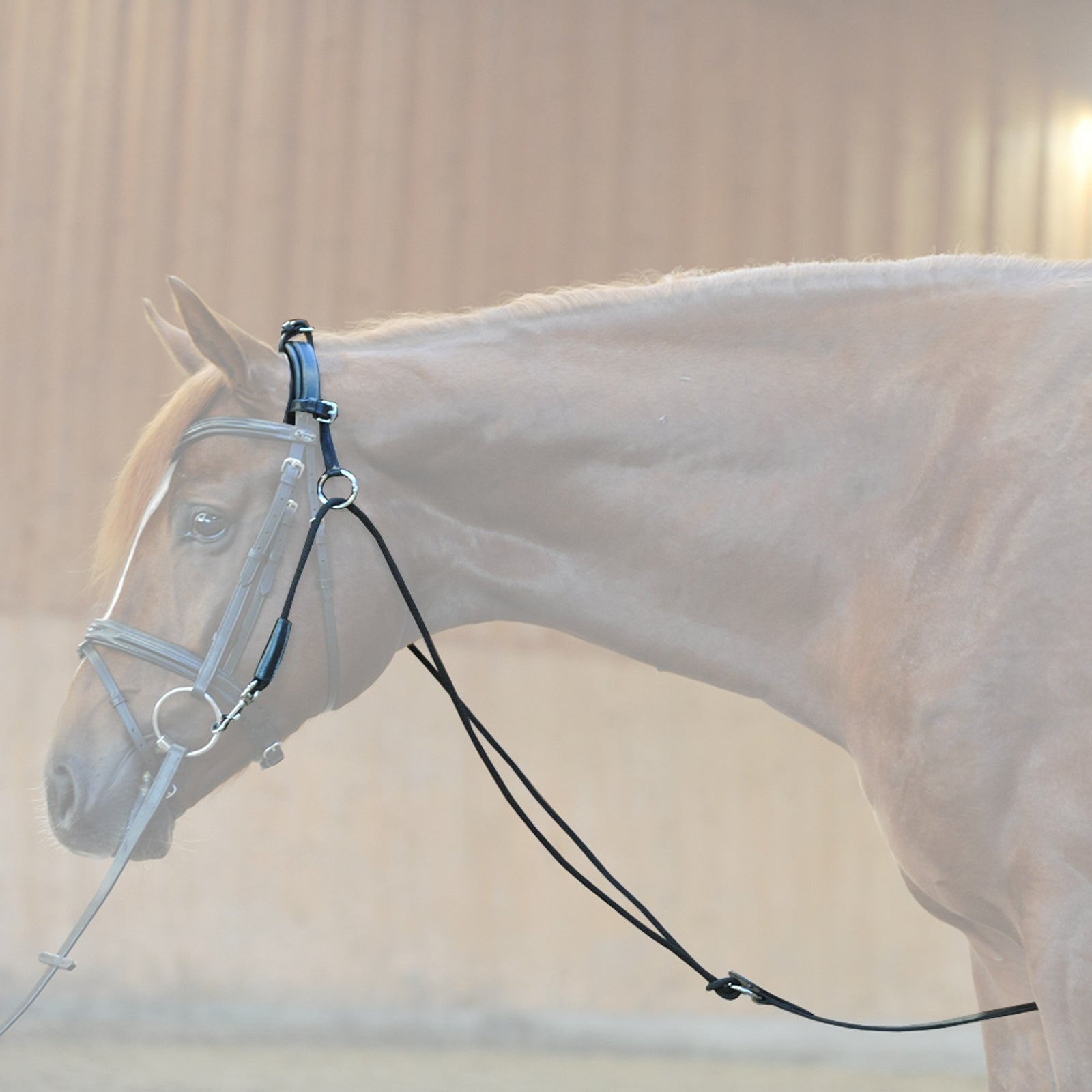 Kavalkade Chambon Horse Training