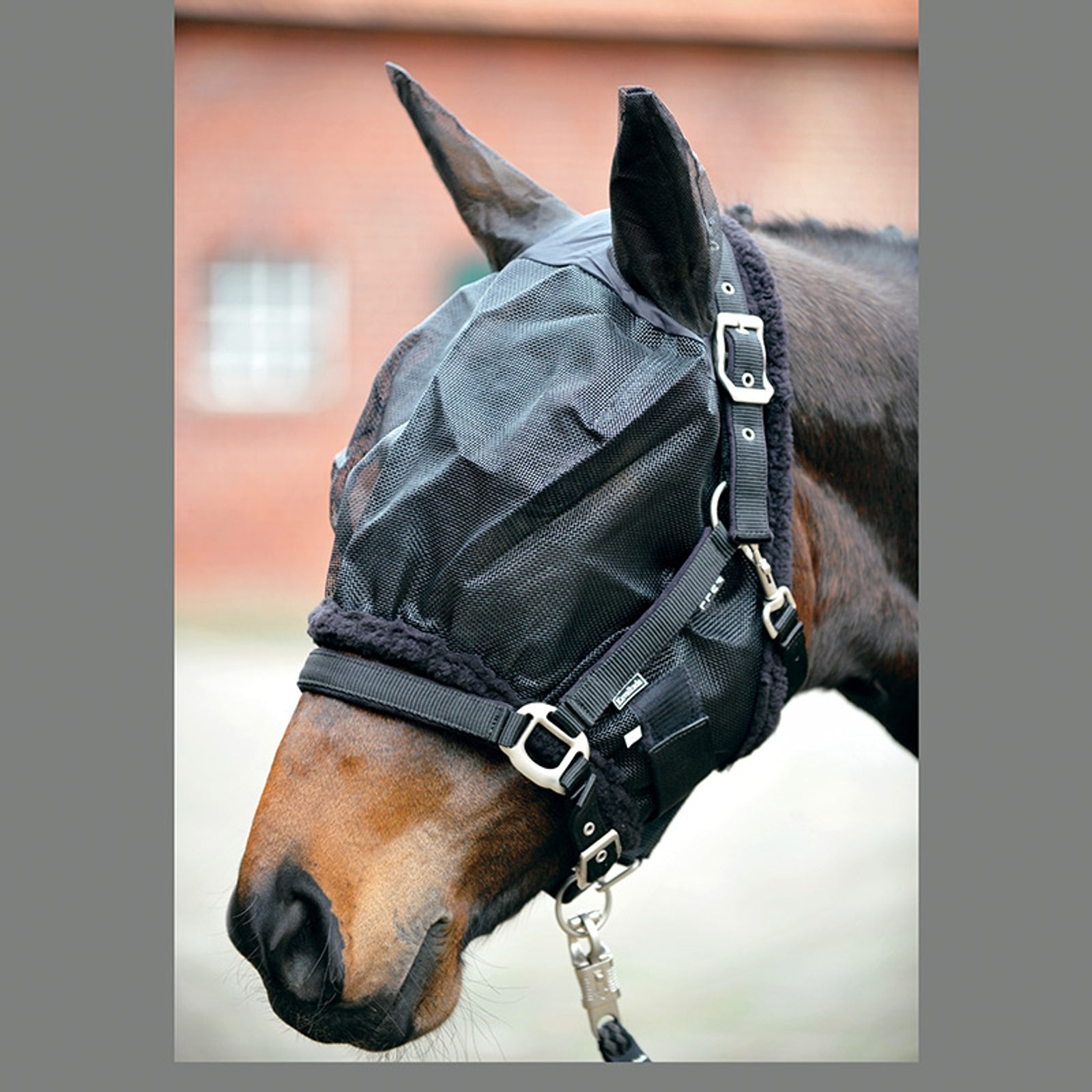 Kavalkade Máscara Fly con orejas Protección Antimoscas para Caballos