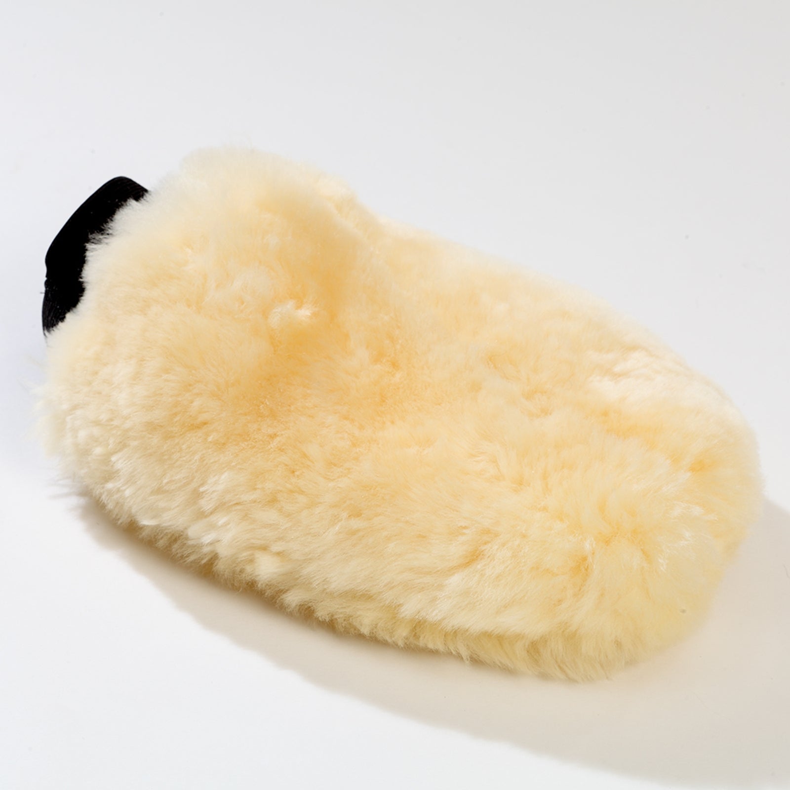 Kavalkade Guante de aseo Suministros de Cepillado