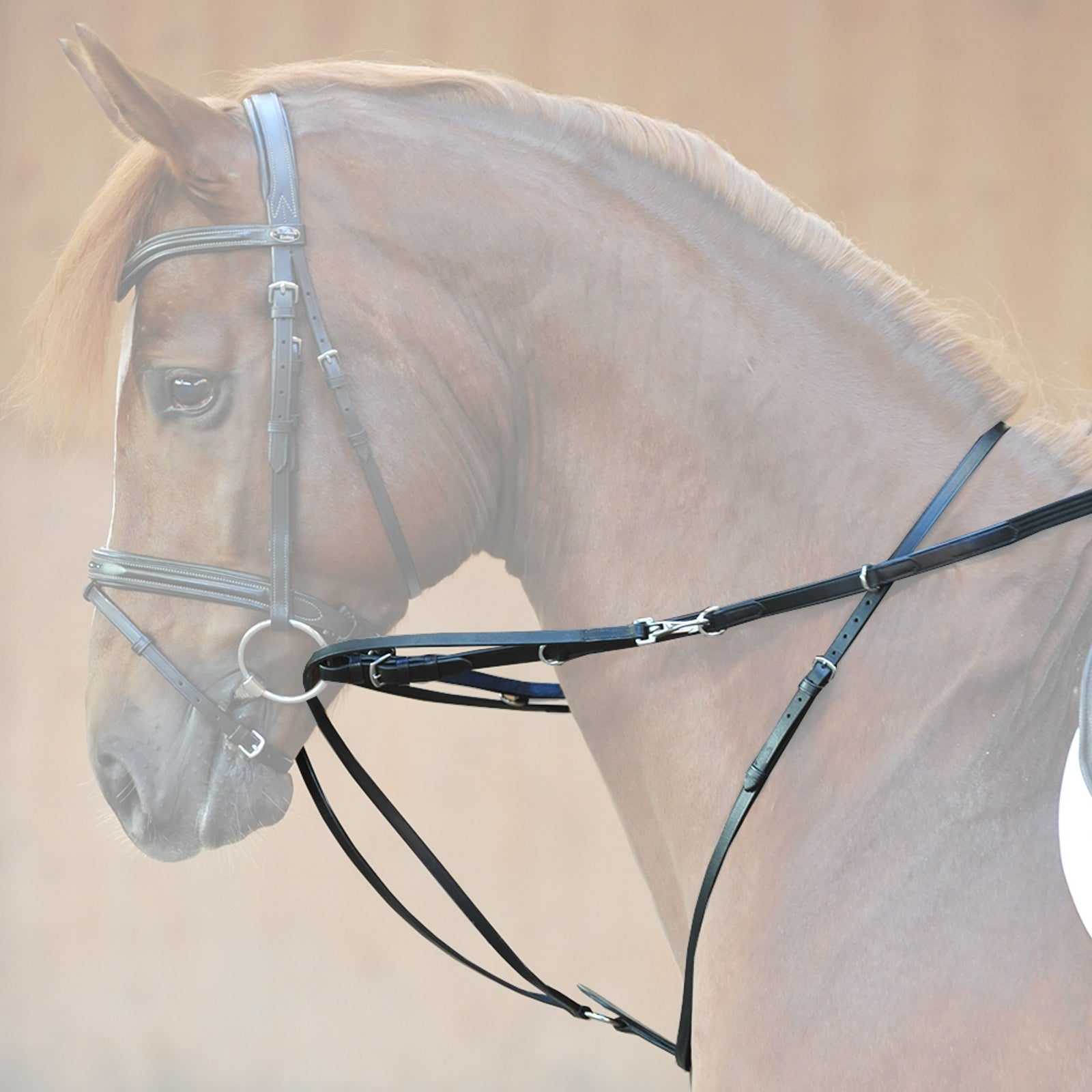 Kavalkade Market Harborough martingale Bridles & Reins