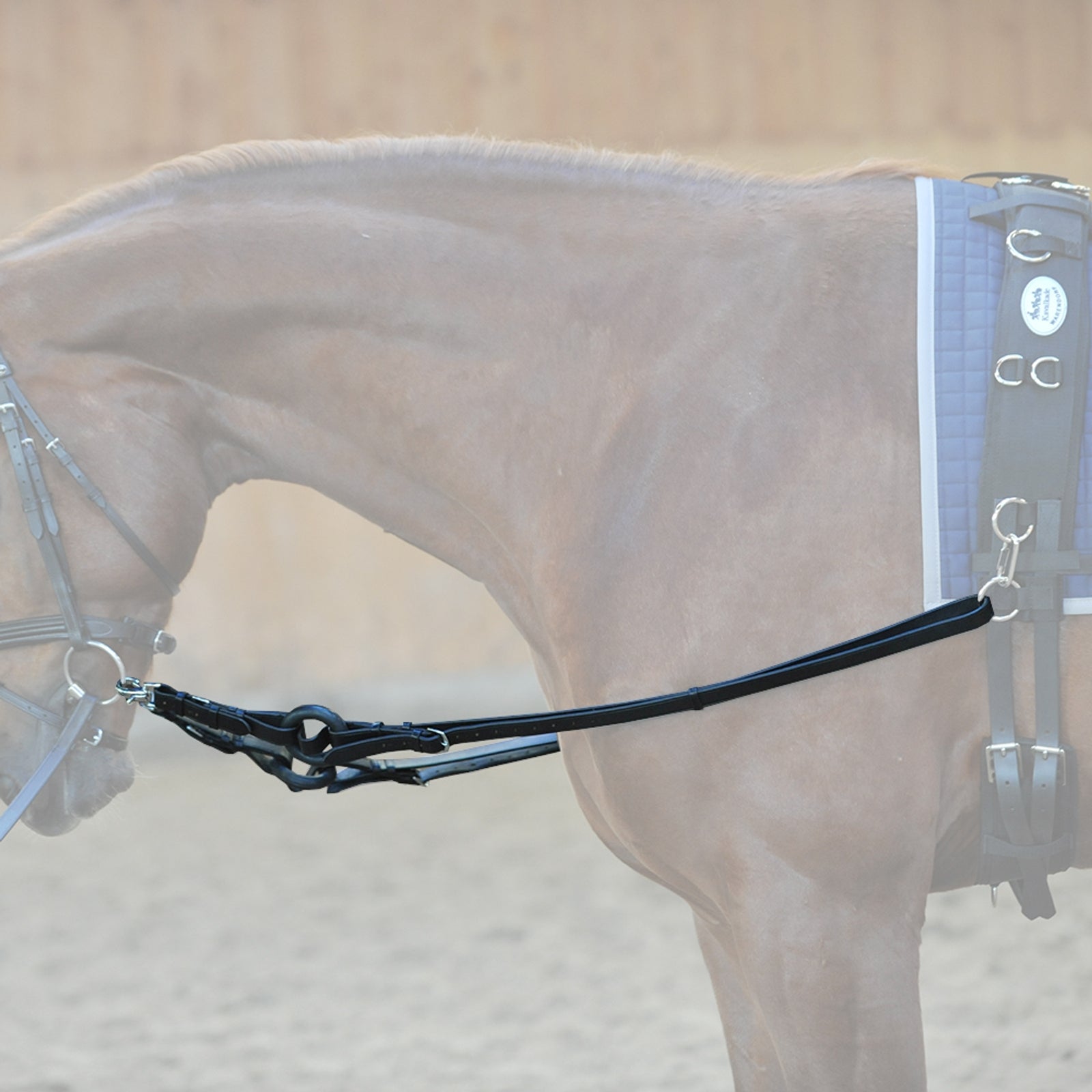 Kavalkade Riendas laterales Cabezadas de montar & Riendas