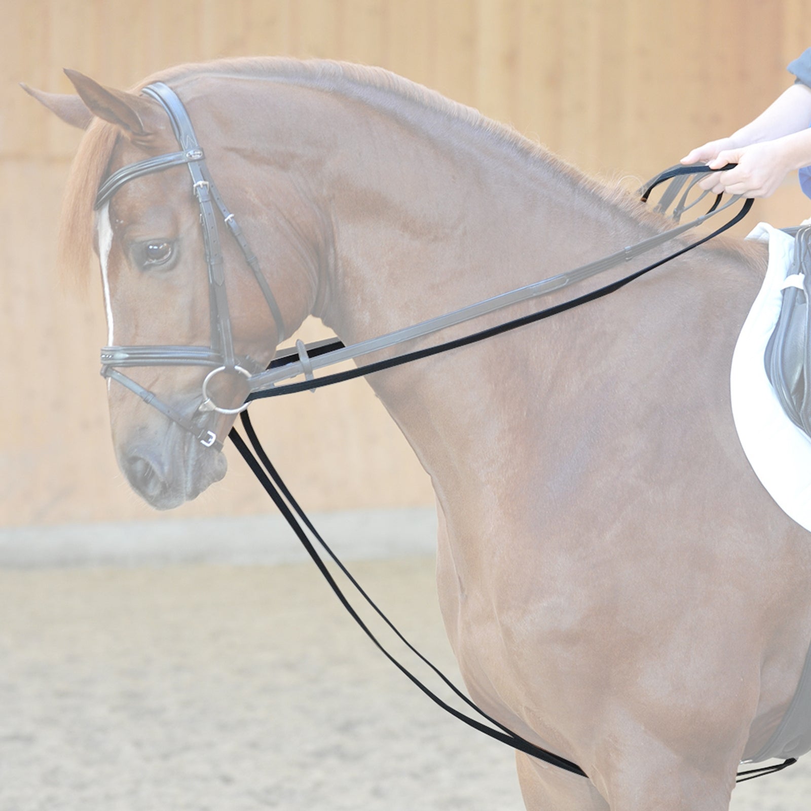 Kavalkade Webbed draw reins Bridles & Reins