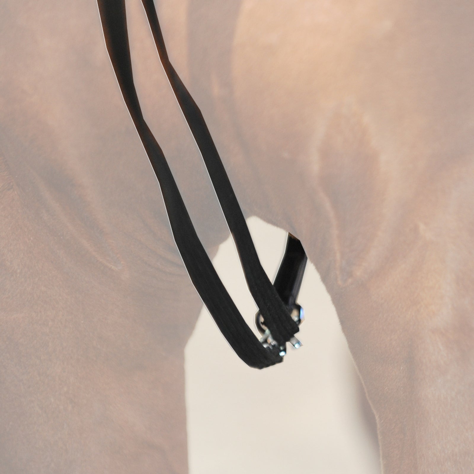 Kavalkade Webbed draw reins with leather loop Bridles & Reins