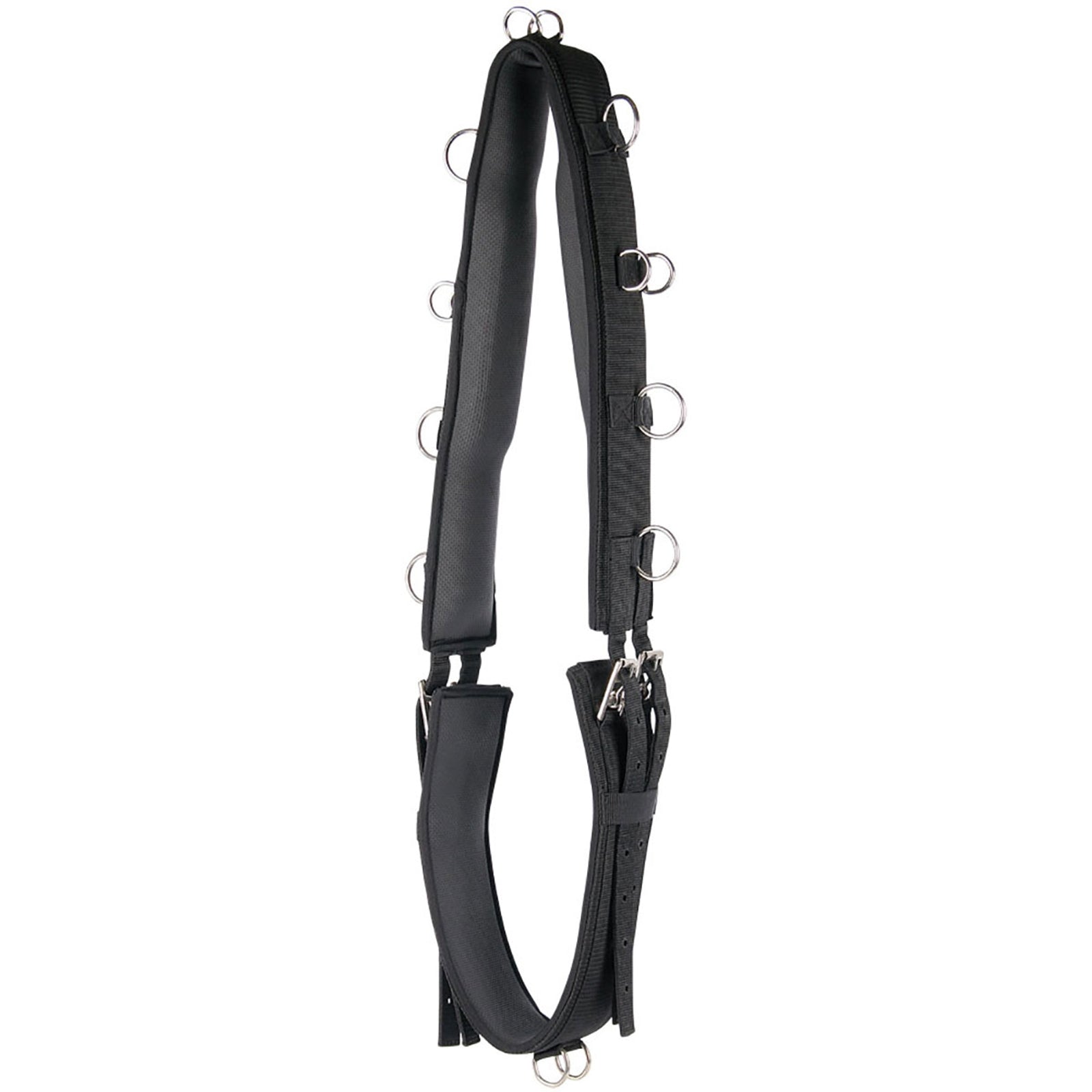 Harry's Horse Lunging cincha de lujo Entrenamiento Caballo