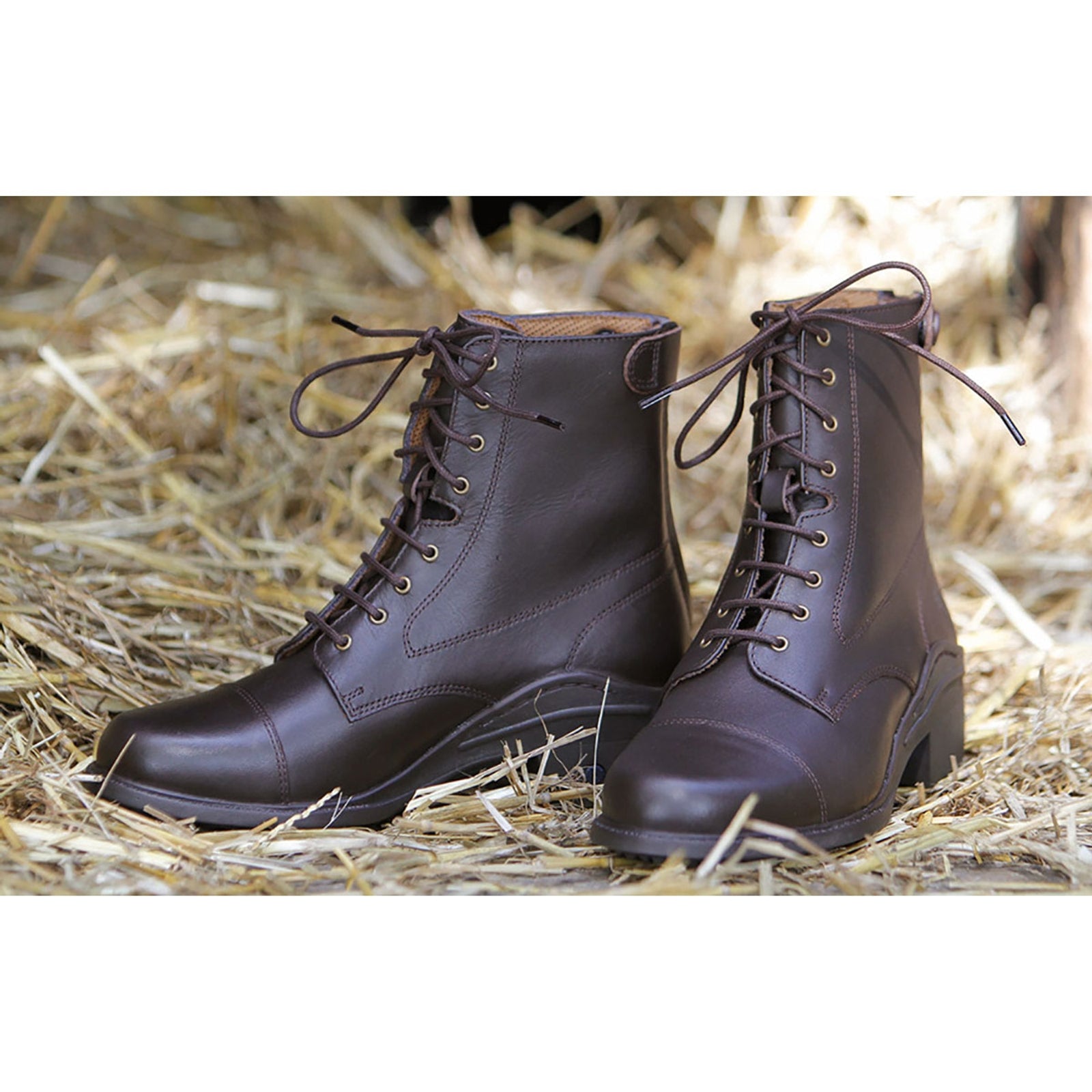 Harry's Horse Paddock bota cuero Smart Calzado