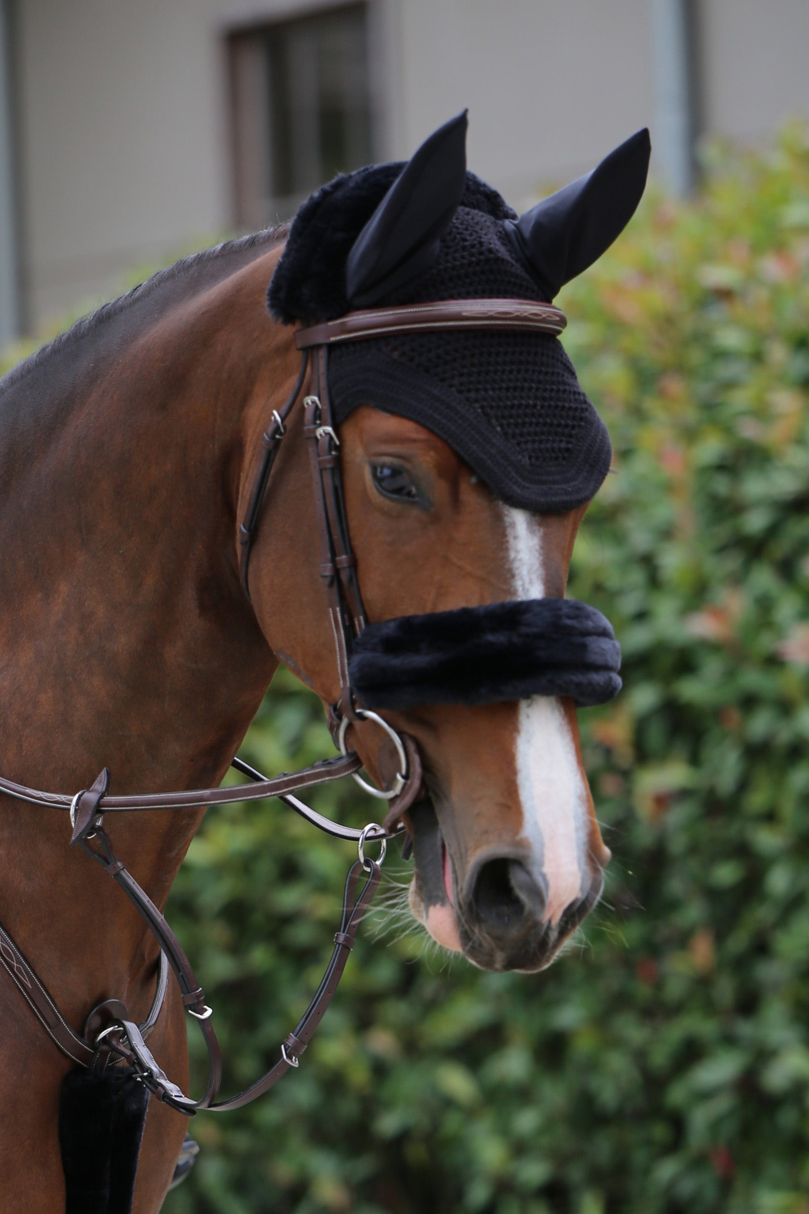 Kentucky Horsewear Cubierta de muserola de piel de oveja Cabezadas de montar & Riendas