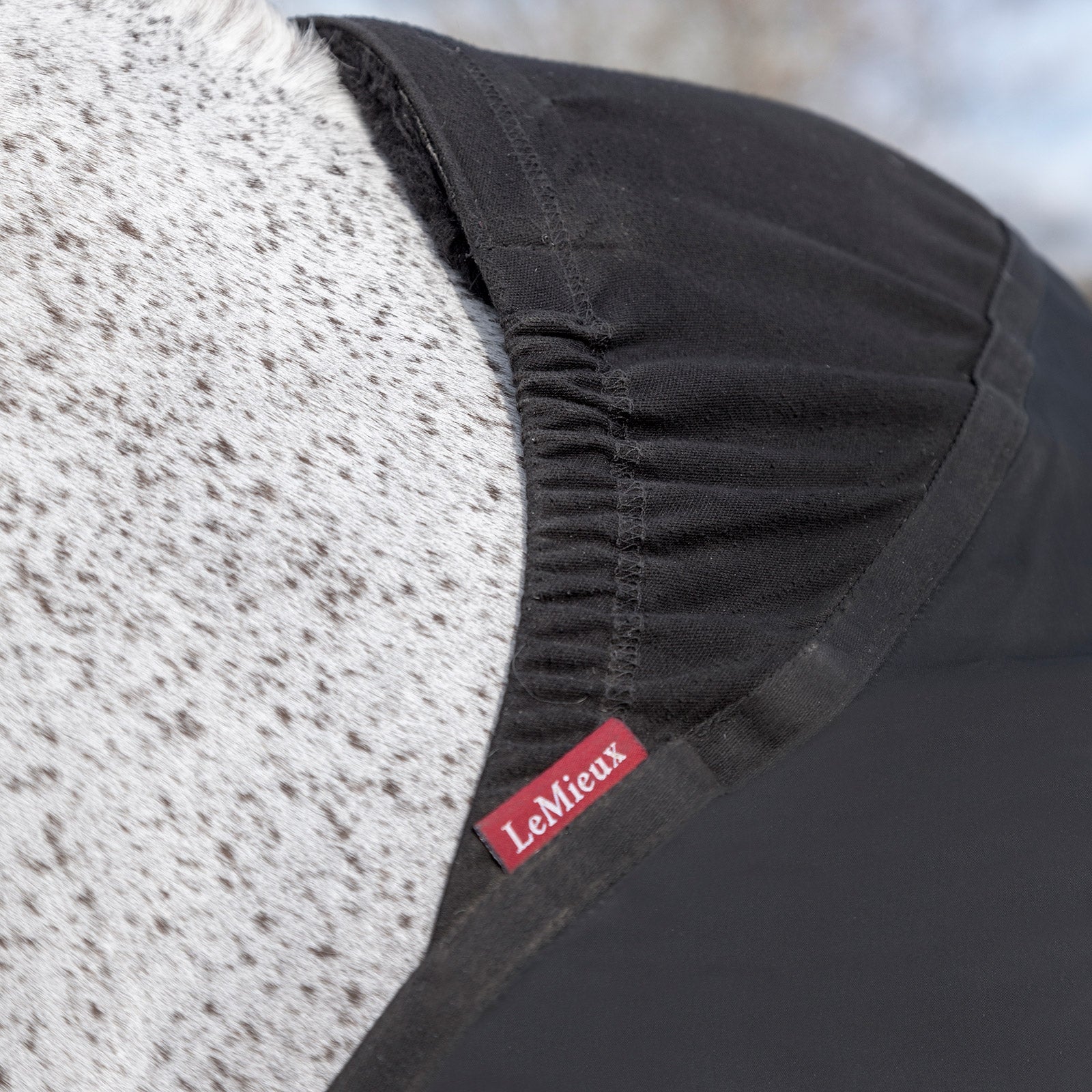 LeMieux Anti Rub Bib Horse Rugs