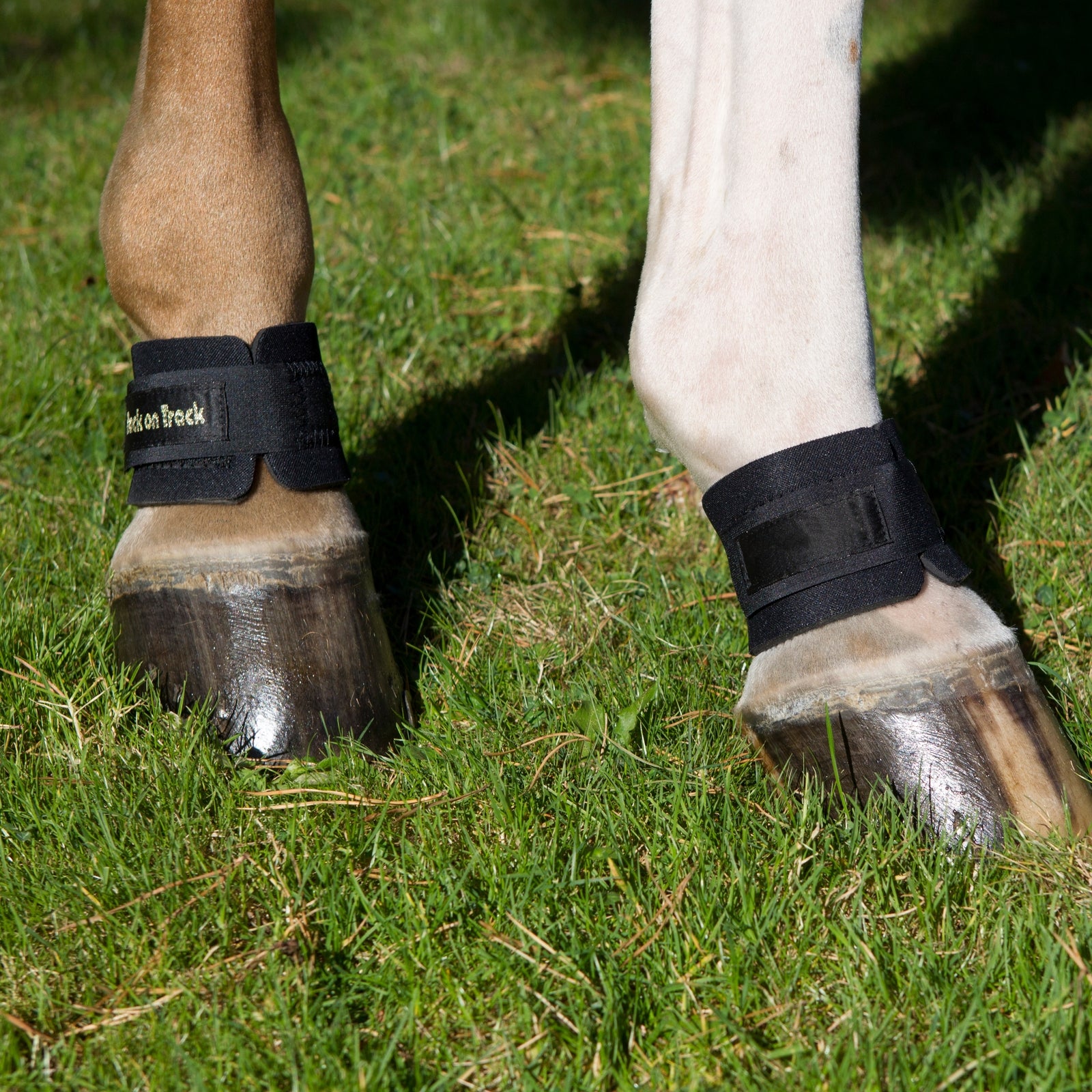 Back on Track Protector de Cuartilla Back on Track Leg Protection & Hoof Protection for Horses