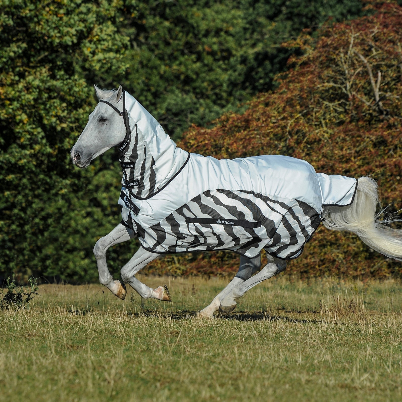 Bucas Buzz-Off Zebra Manta Anti-Moscas con Cubre Cuello Completo con Cuello fijo Mantas Caballo
