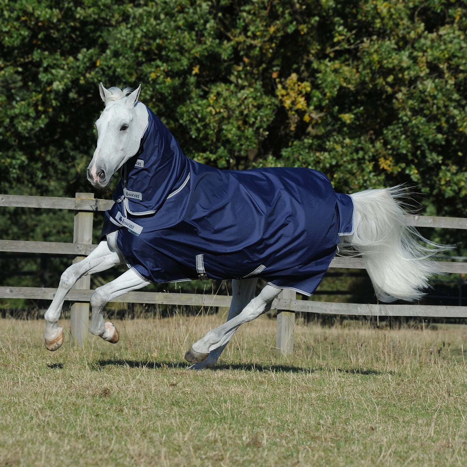 Bucas Freedom Manta de exterior para poni con cuello completo fijo (150g / 150g) Mantas Caballo
