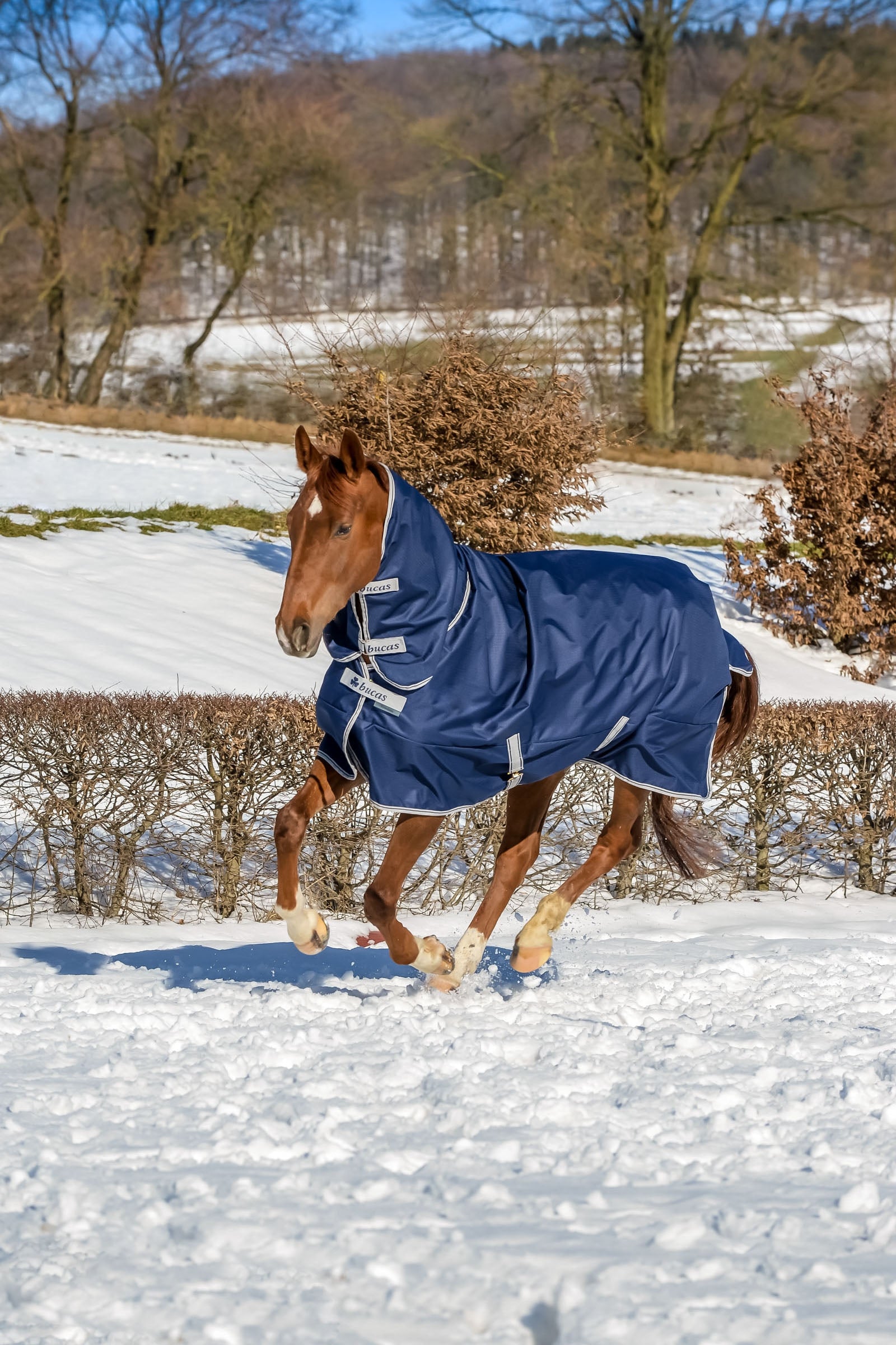 Bucas Freedom Pony Turnout Rug with fixed Full Neck (150g / 150g) Horse Rugs
