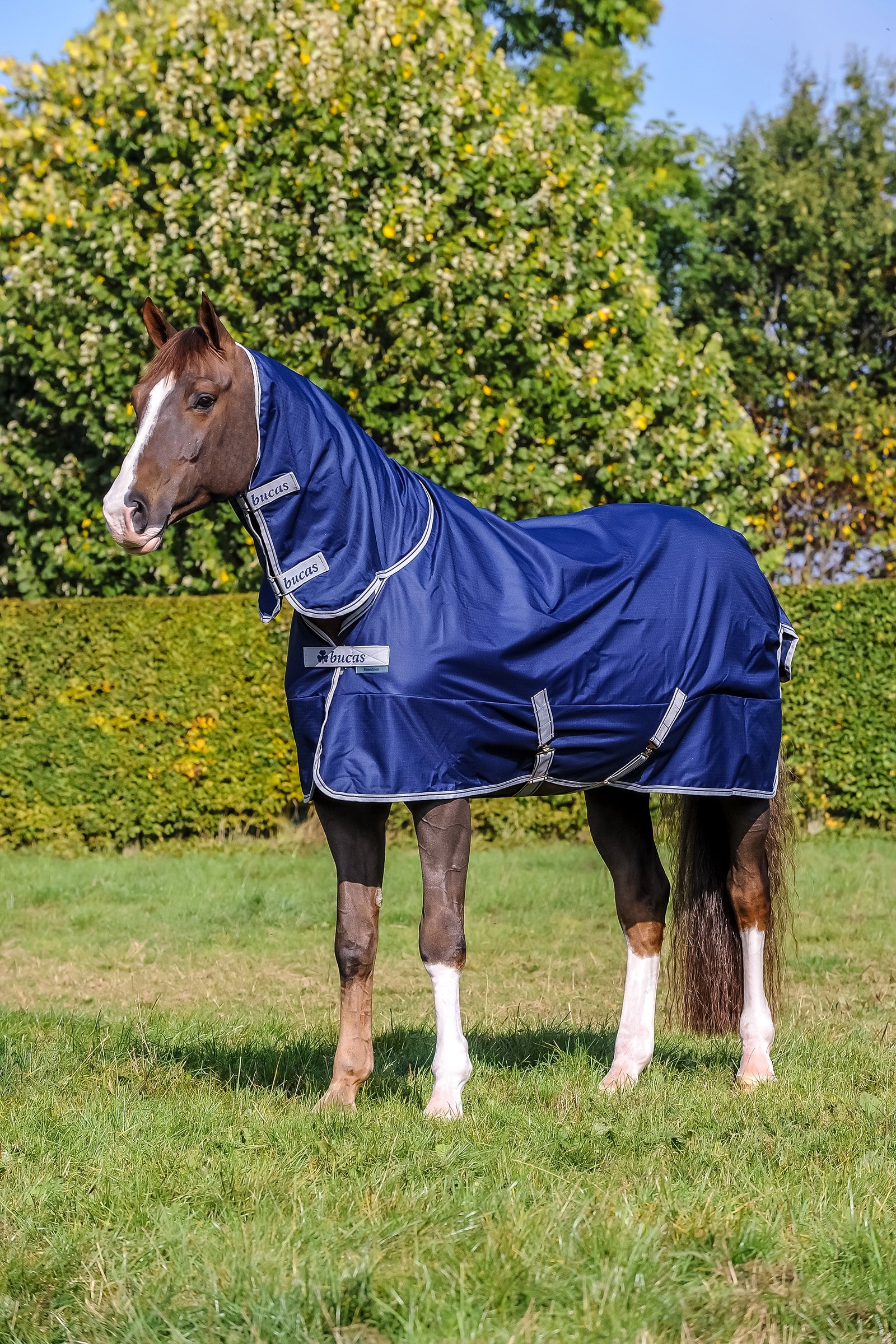 Bucas Manta de Exterior Ligera Cuello Completo para Poni Freedom con Cuello Fijo Mantas Caballo
