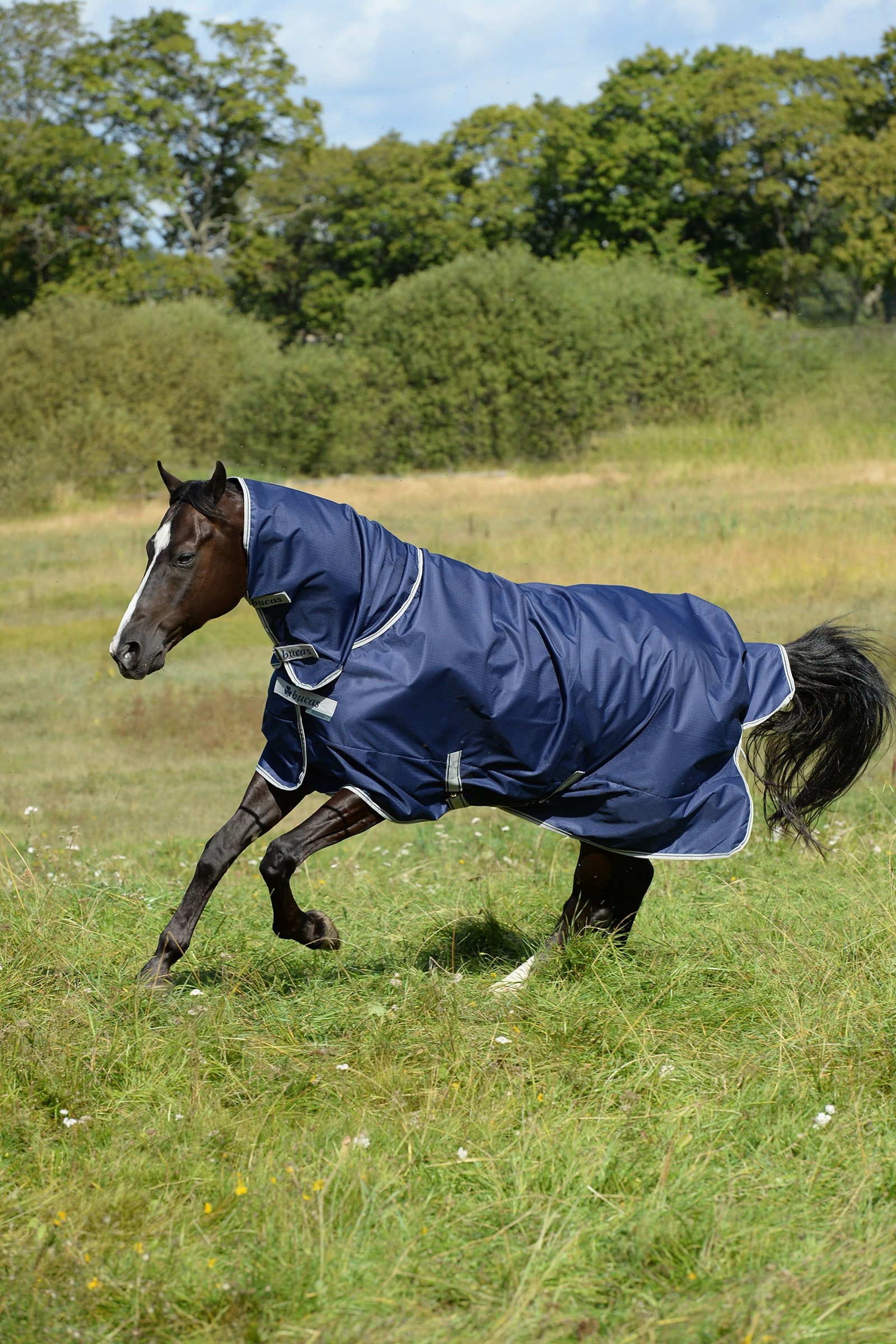 Bucas Freedom Turnout Light Fullneck Pony Turnout with Fixed Neck Horse Rugs