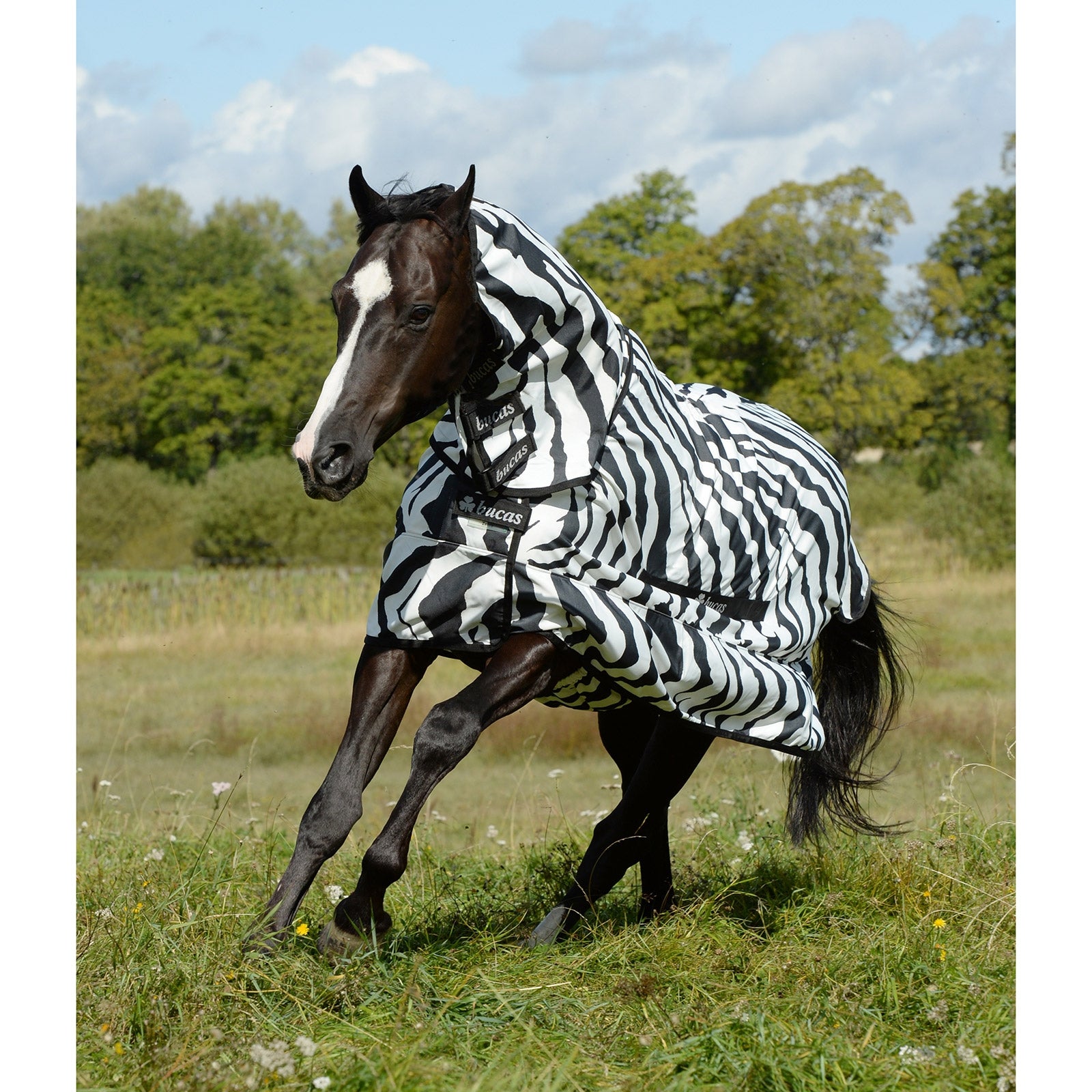 Bucas Sweet-itch Zebra Eczema Rug Pony with fixed Neck Horse Rugs