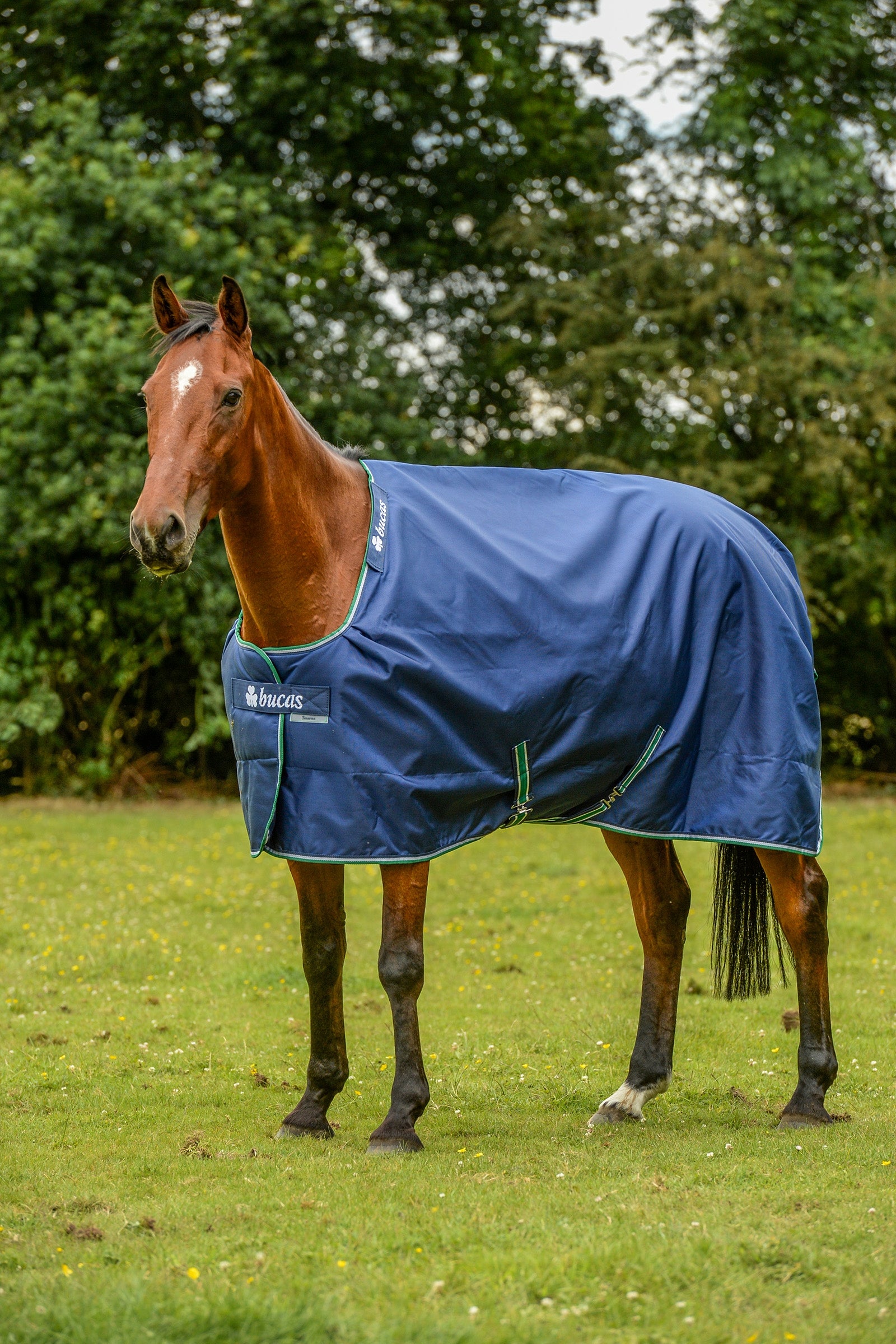 Bucas Manta Smartex Extra 300g Mantas Caballo