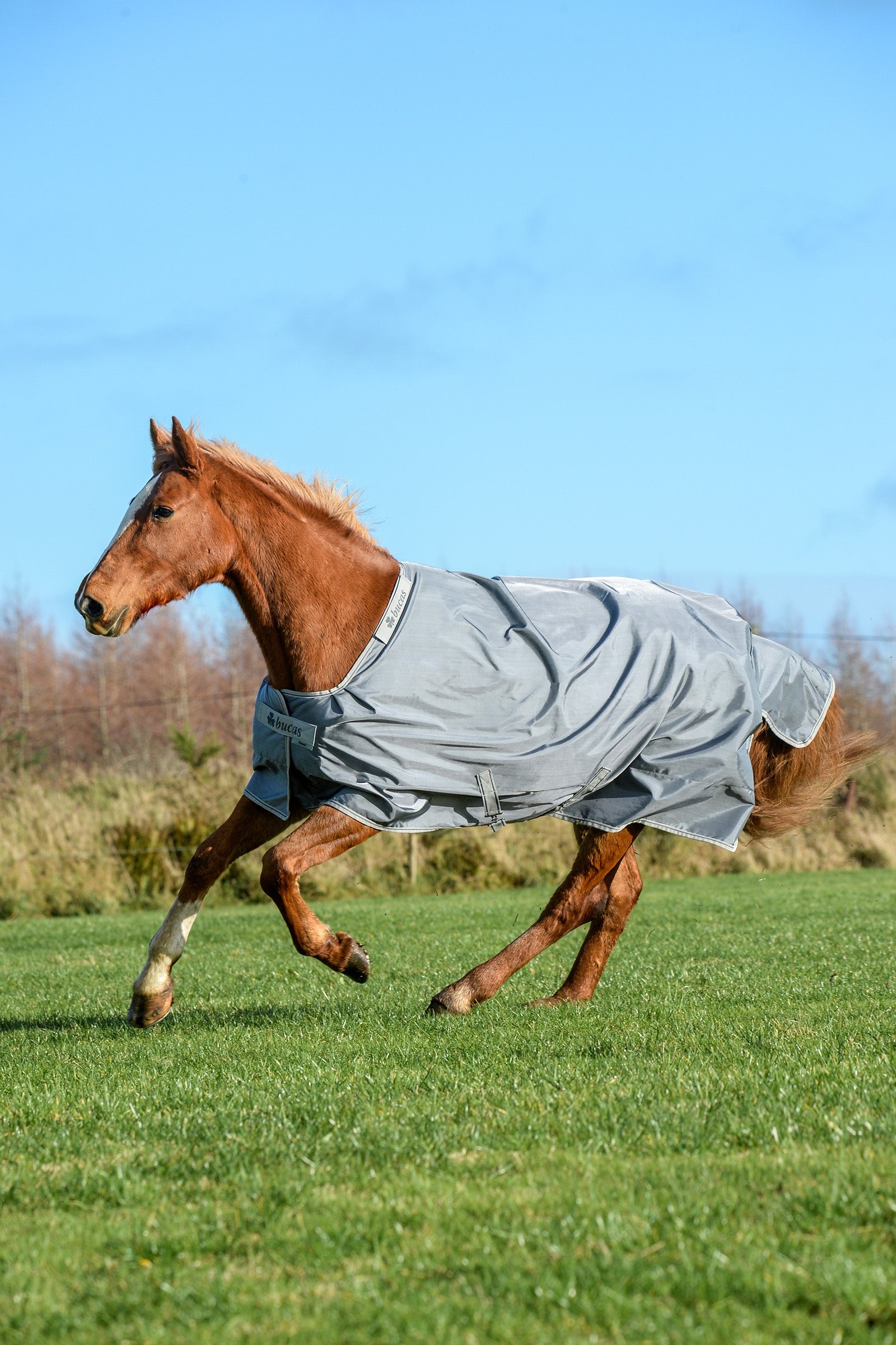 Bucas Manta Smartex Extra 300g Mantas Caballo