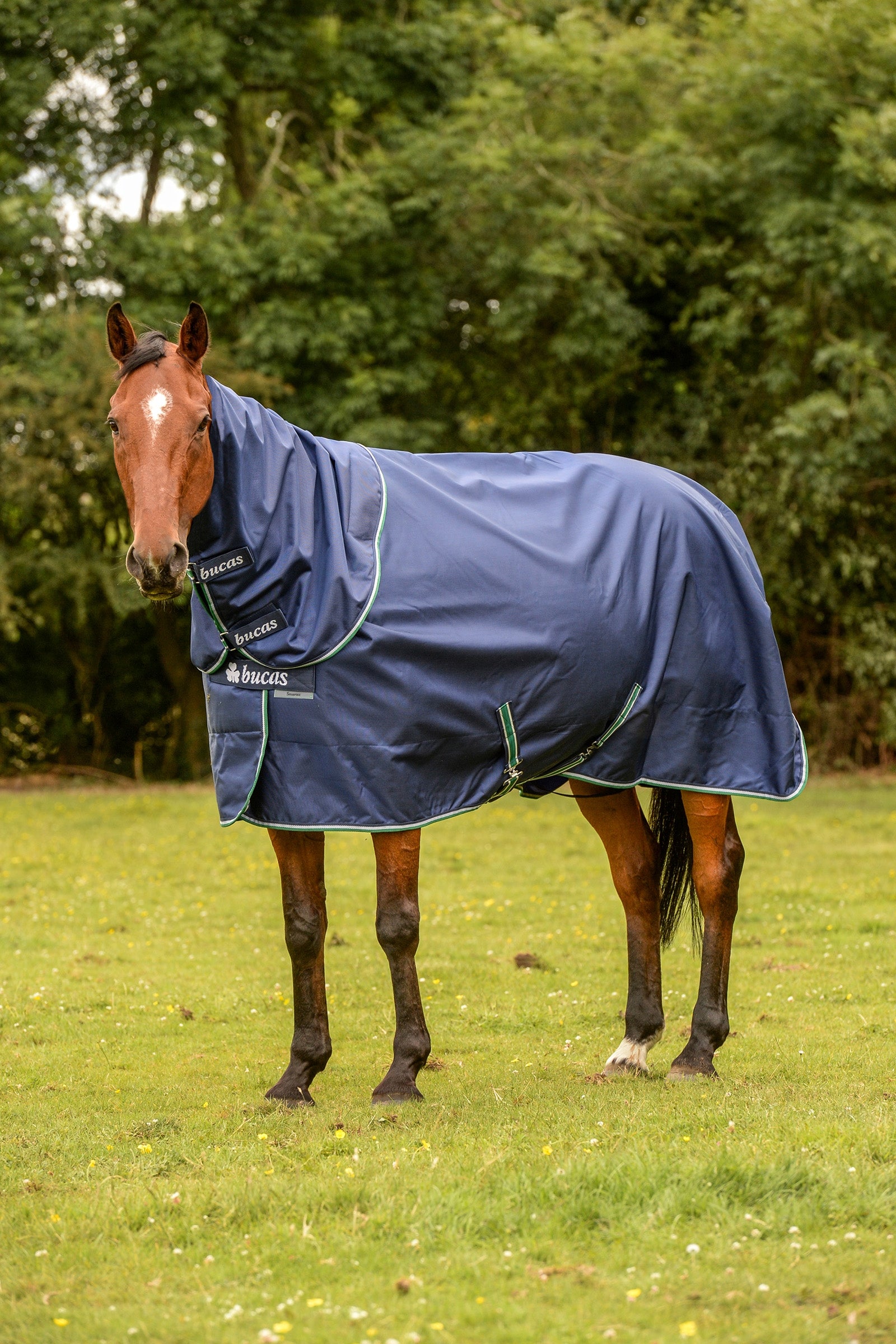 Bucas Manta de Exterior para Poni Smartex Rain con Función de Secado, 0g Mantas Caballo