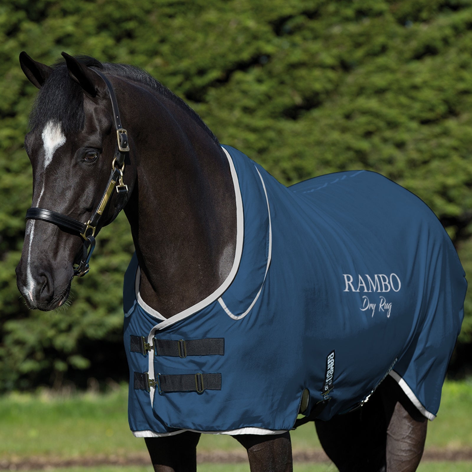 Horseware Alfombra Seca Rambo Supreme Mantas Caballo
