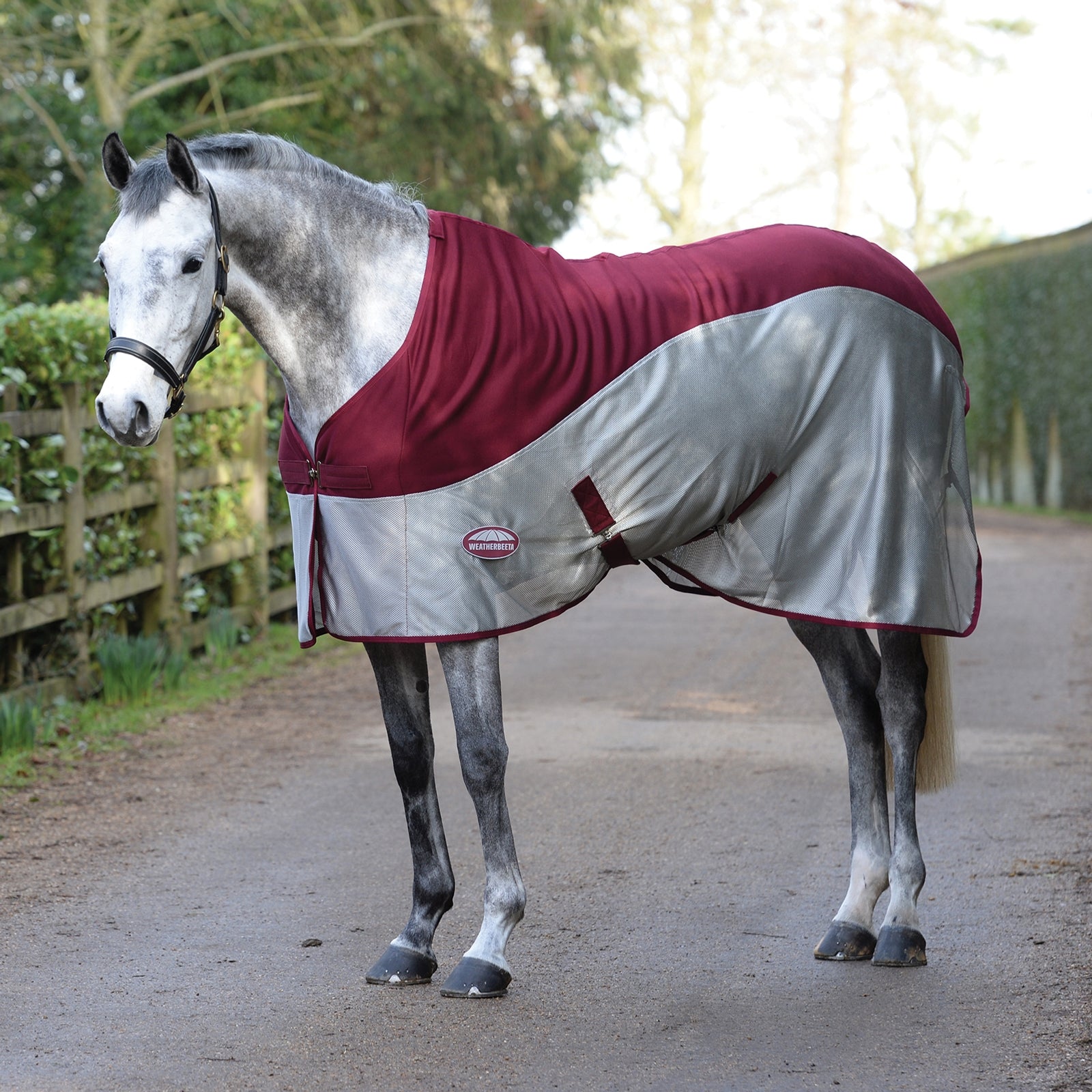 Weatherbeeta Microenfriador de aire Mantas Caballo