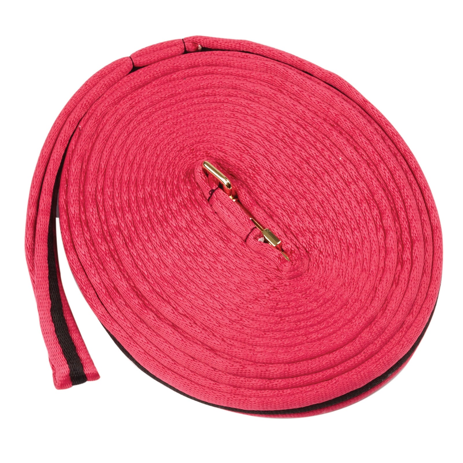 Kincade Brights Rienda de cuerda acolchada bicolor 8m Entrenamiento Caballo