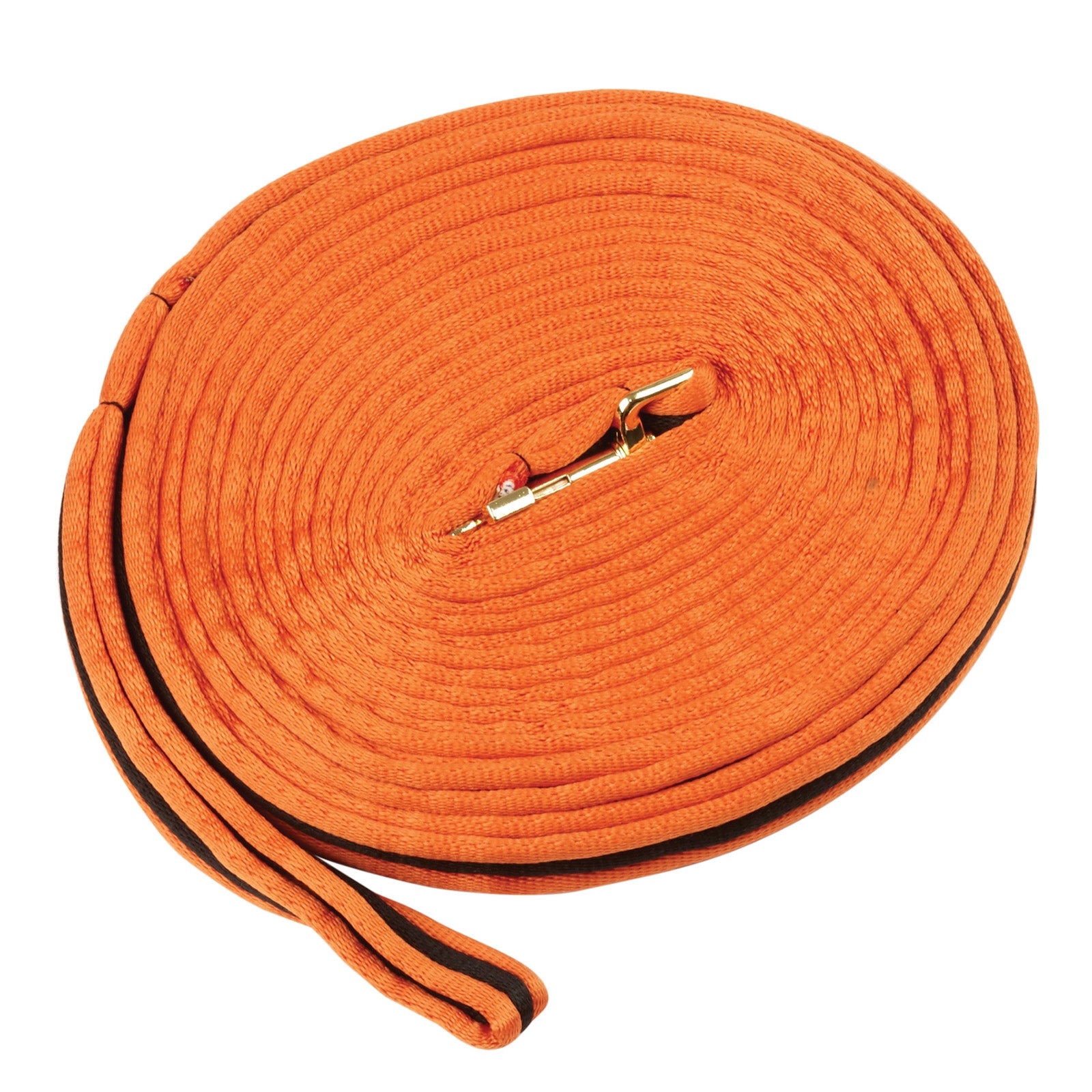 Kincade Brights Rienda de cuerda acolchada bicolor 8m Entrenamiento Caballo