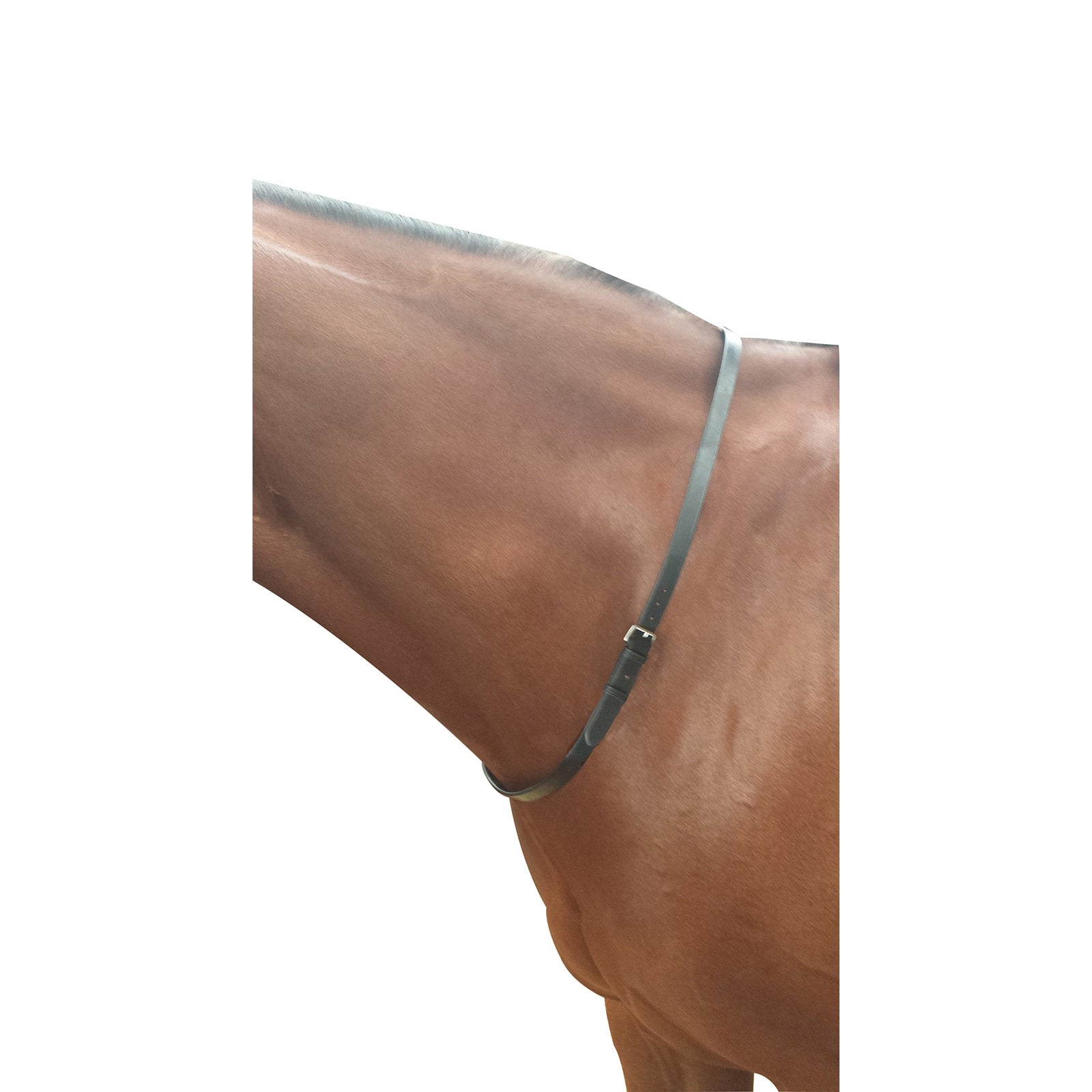 Kincade Neck Strap Cabezadas de montar & Riendas