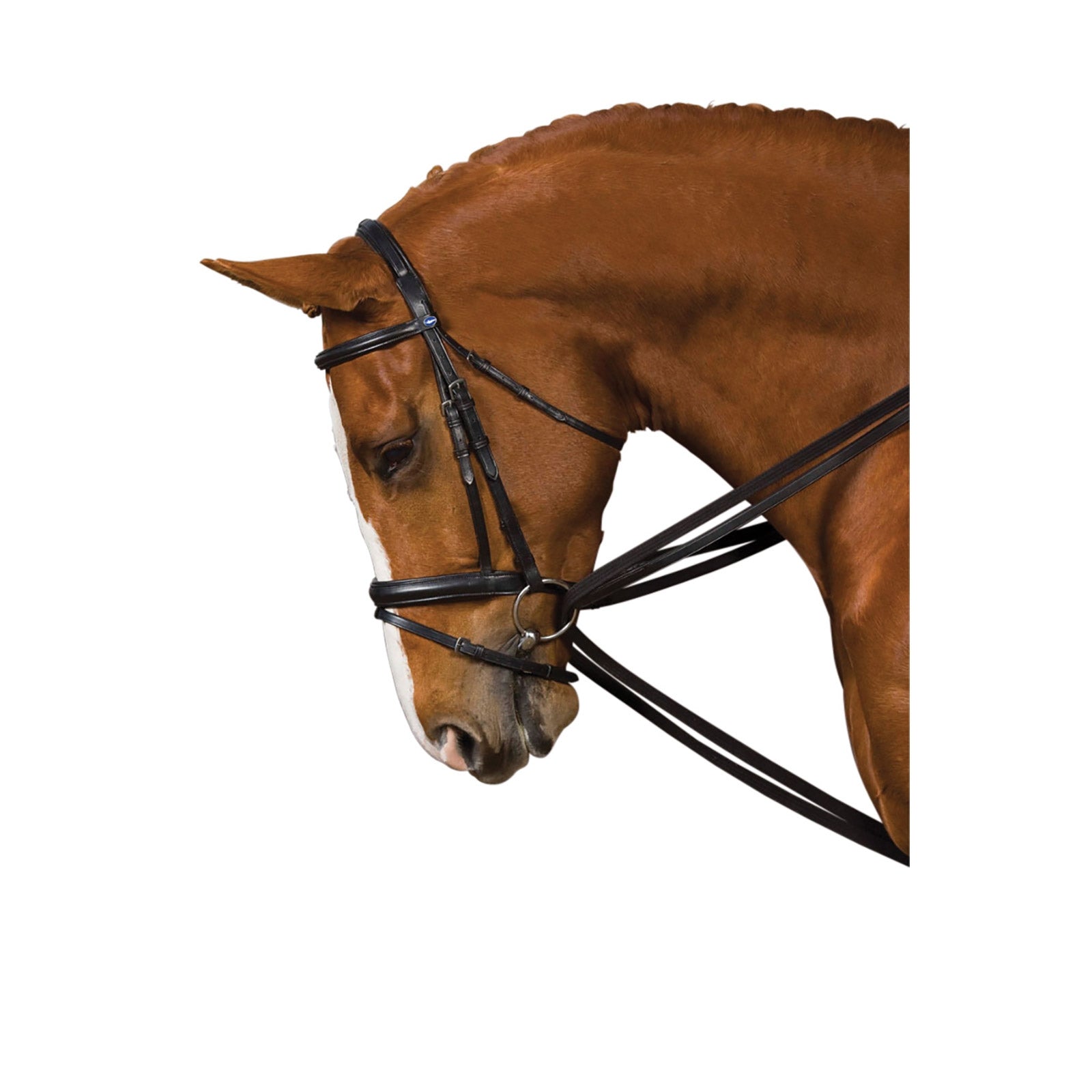 Kincade Web Draw Reins Cabezadas de montar & Riendas