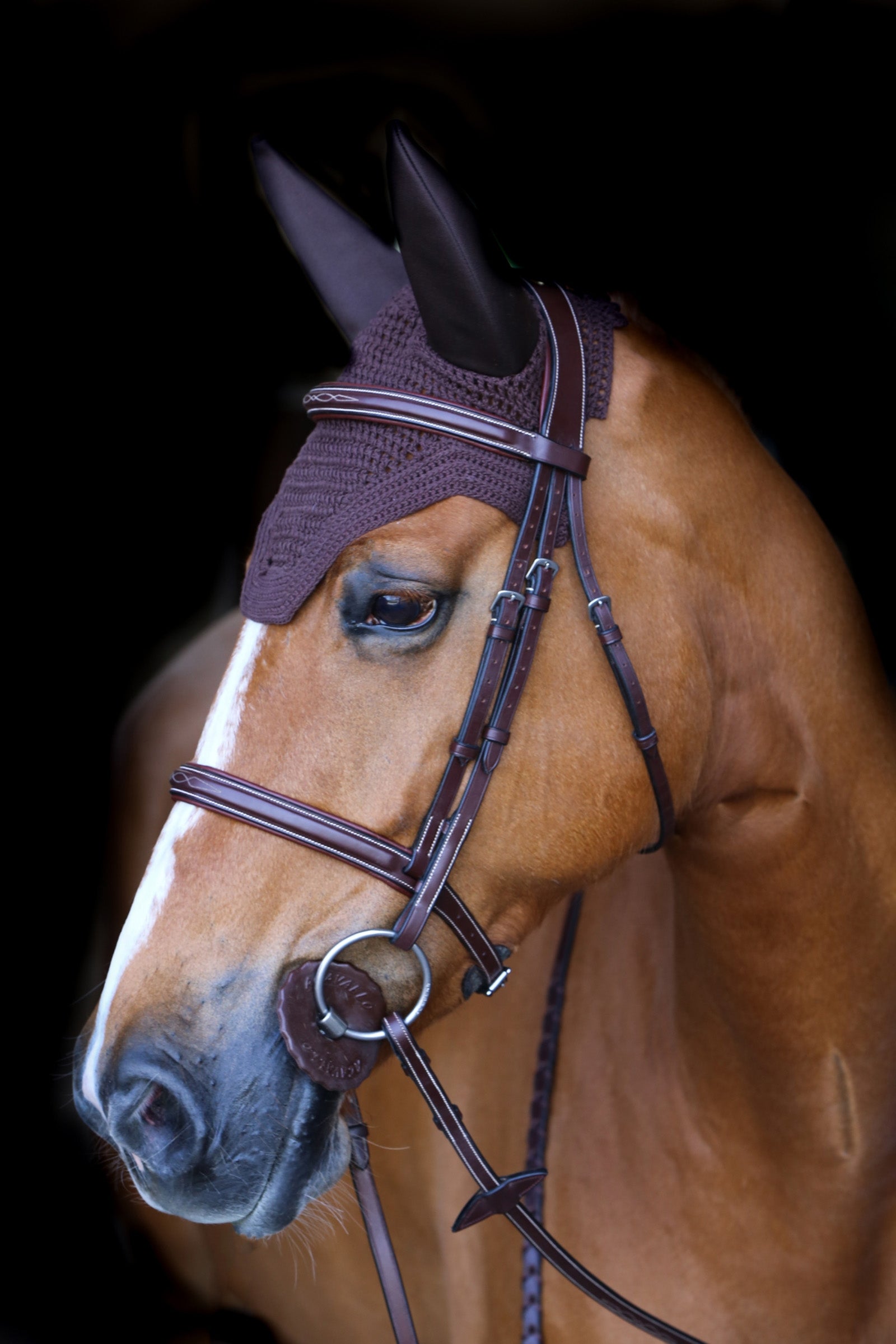 Kentucky Horsewear Fly Veil Wellington Soundless Mantillas