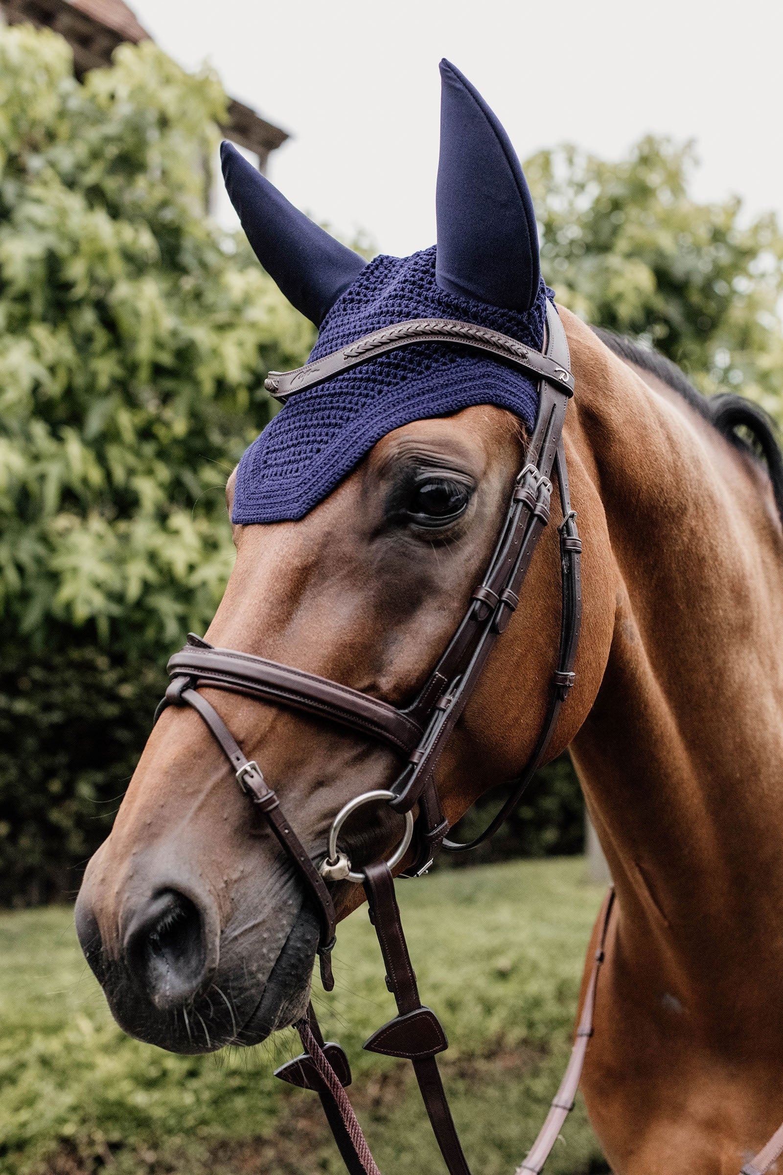 Kentucky Horsewear Fly Veil Wellington Soundless Mantillas