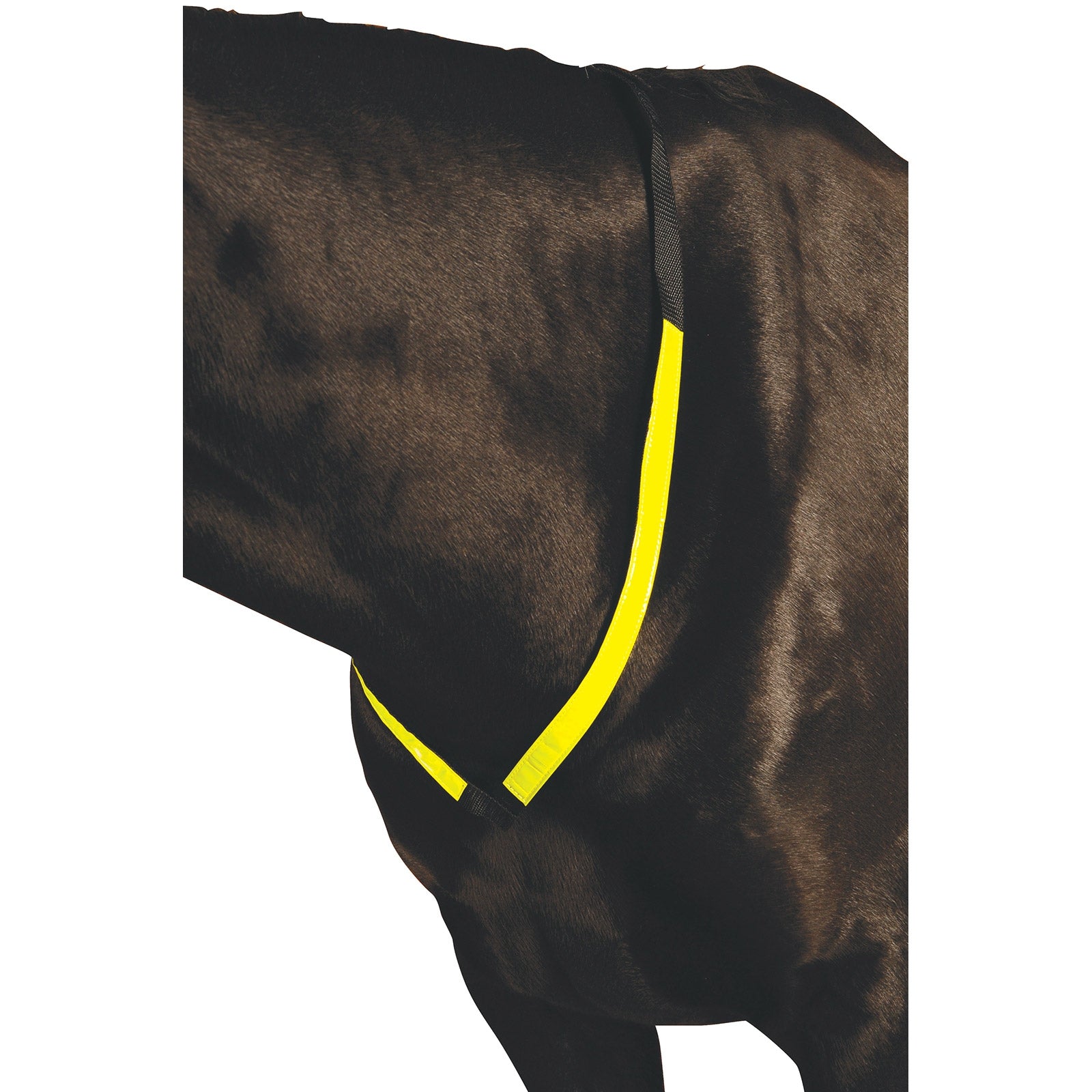 Roma Reflective Breastplate Cabezadas de montar & Riendas