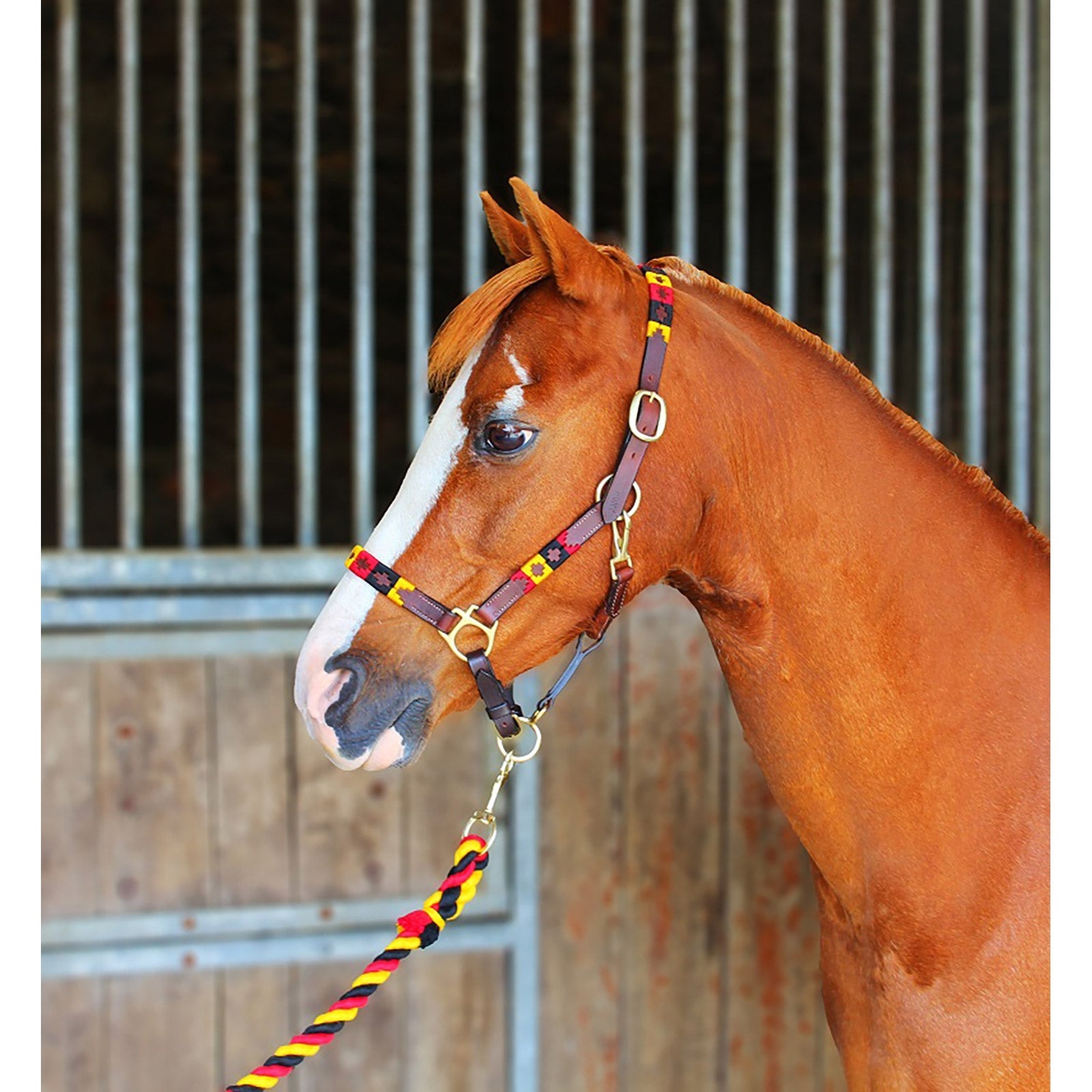 Chukka Leather Headcollar Cabezadas de cuadra & Ramales