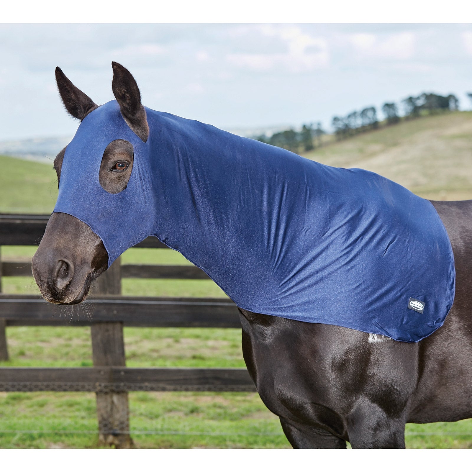 Weatherbeeta Capucha Elástica Weatherbeeta Mantas Caballo