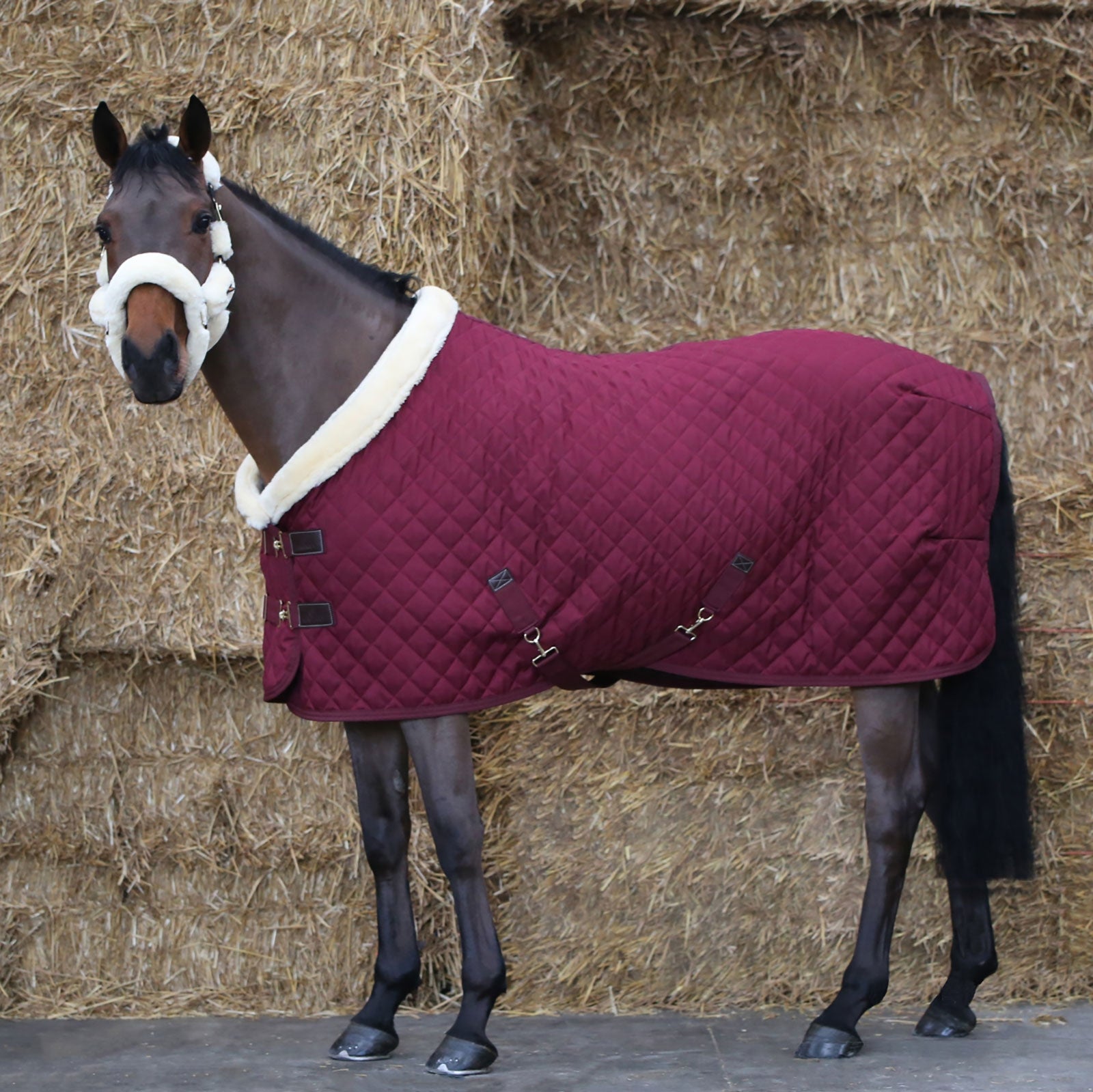 Kentucky Horsewear Show Manta, 160g Mantas Caballo