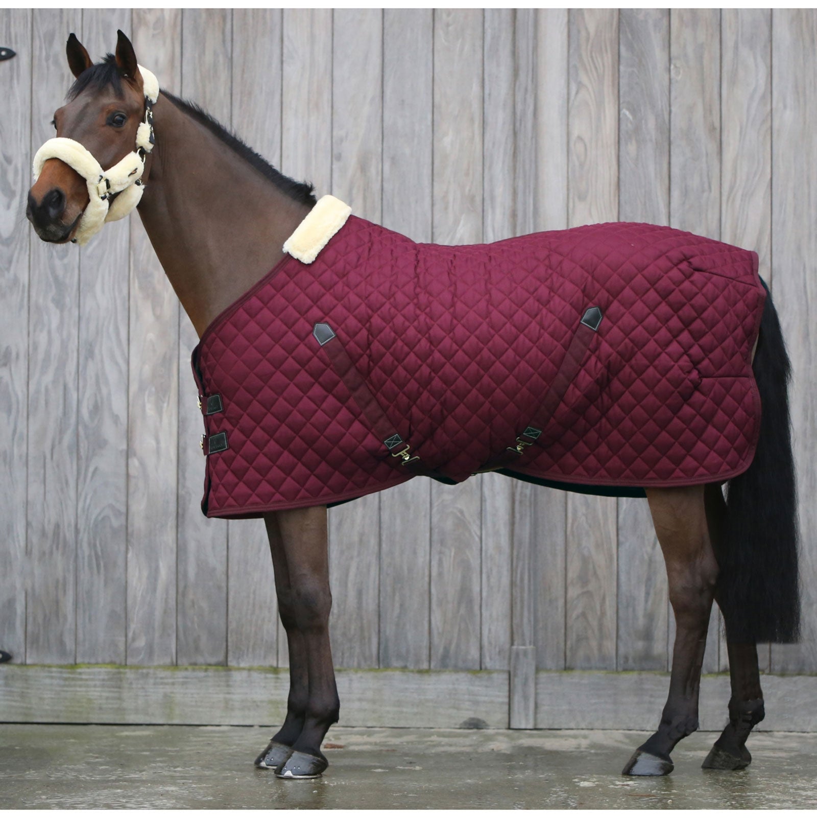 Kentucky Horsewear Manta de Cuadra , 400g Mantas Caballo