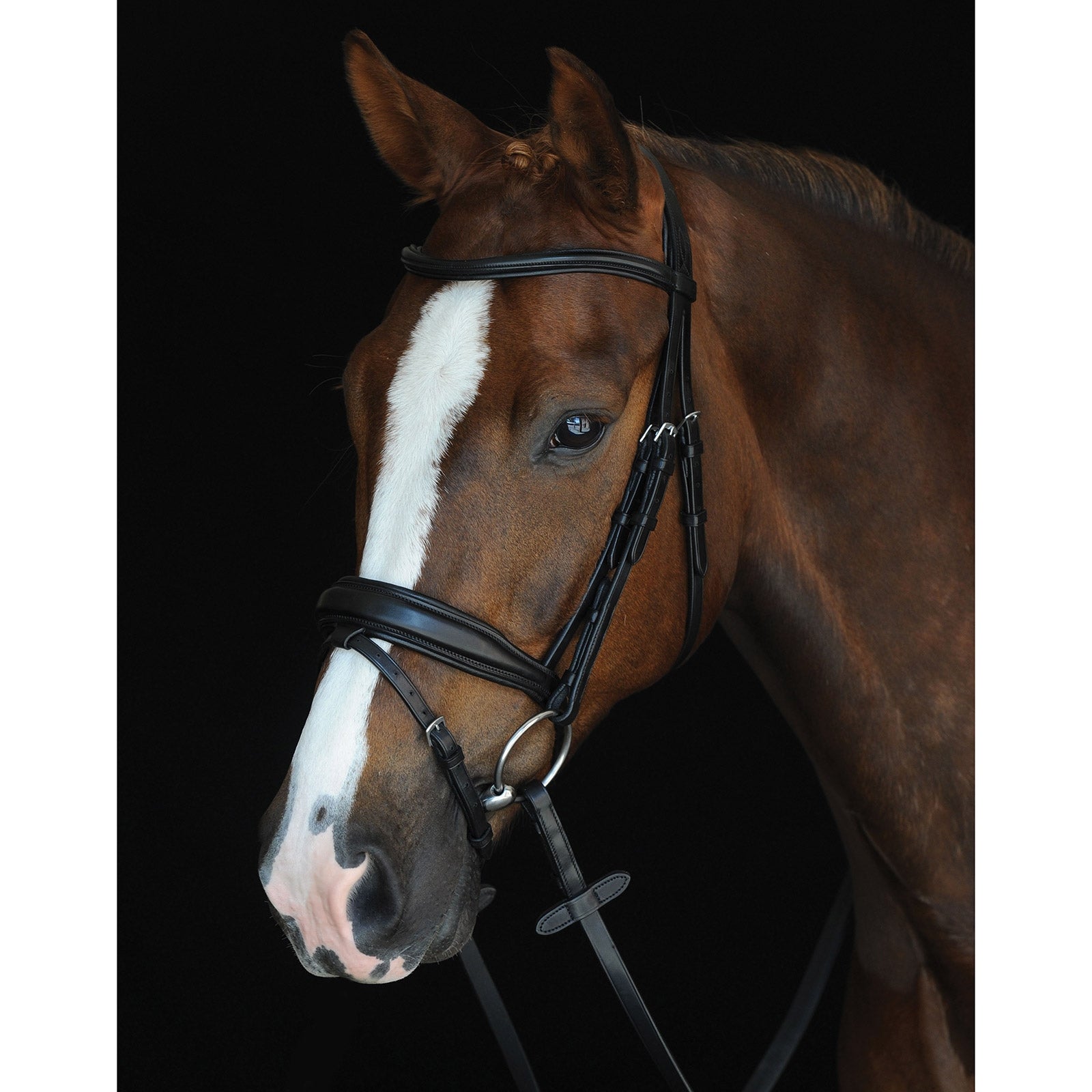 Collegiate Mono Crown Padded Raised Flash Bridle Cabezadas de montar & Riendas
