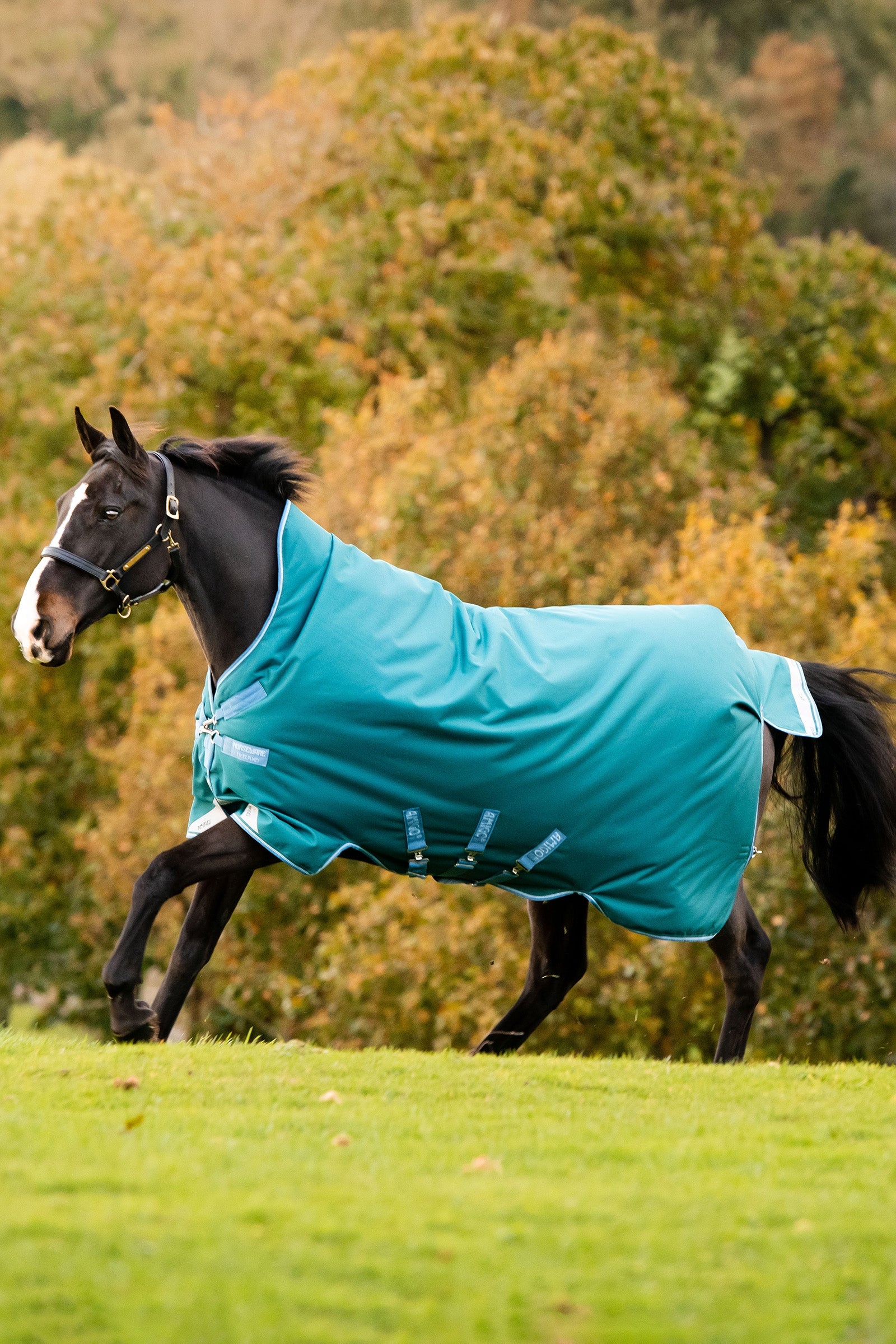 Horseware Amigo Bravo 12 Wug manta de exterior con cuello alto, 0 g Mantas Caballo