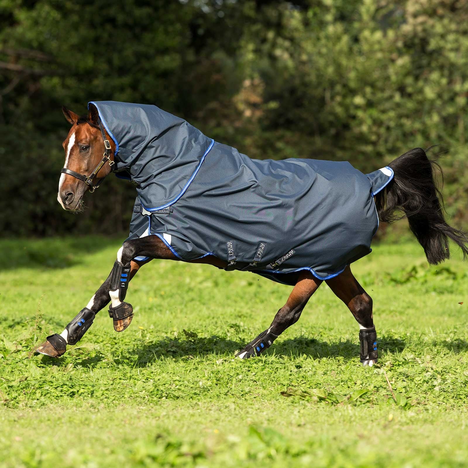 Horseware Manta de Exterior con Cubre Cuello Desmontable y Disco Amigo Bravo 12 Plus, 0g Mantas Caballo